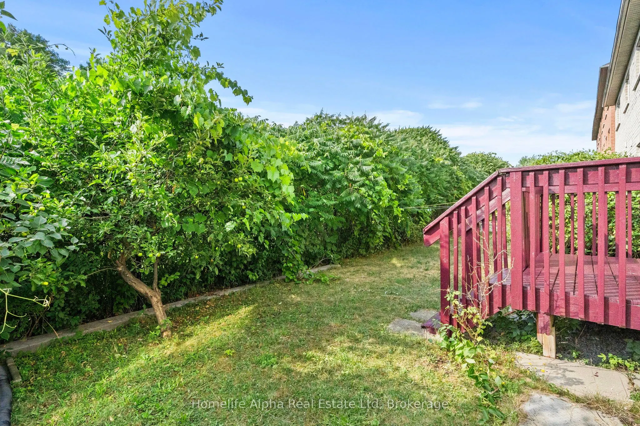 10 Bon Echo Court