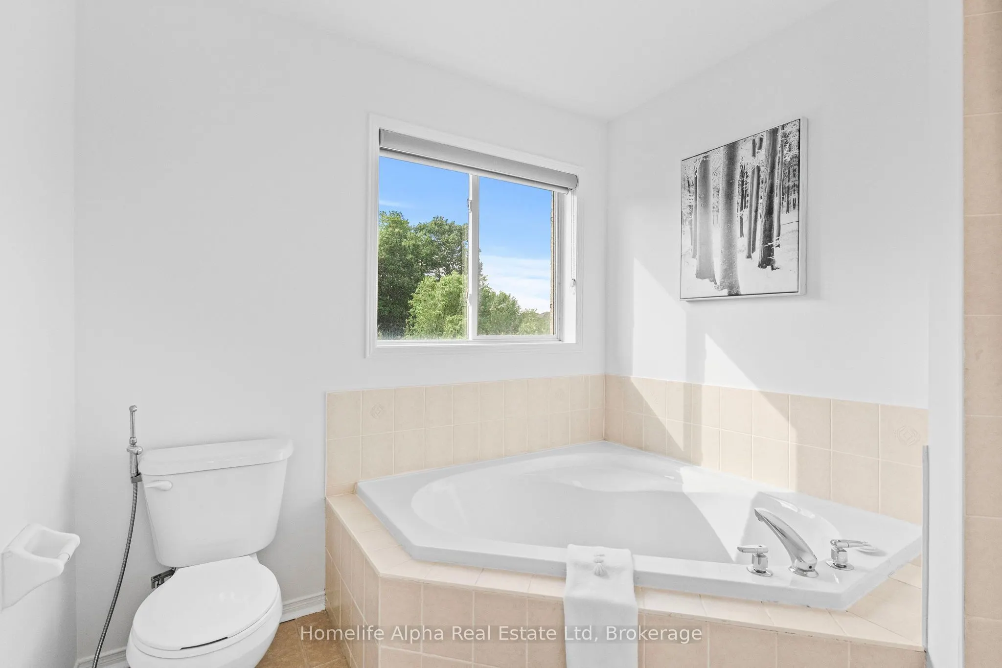 10 Bon Echo Court