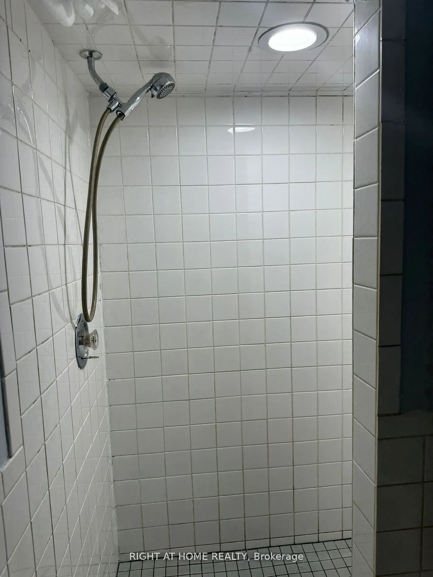 591 O'connor Drive, #Basement