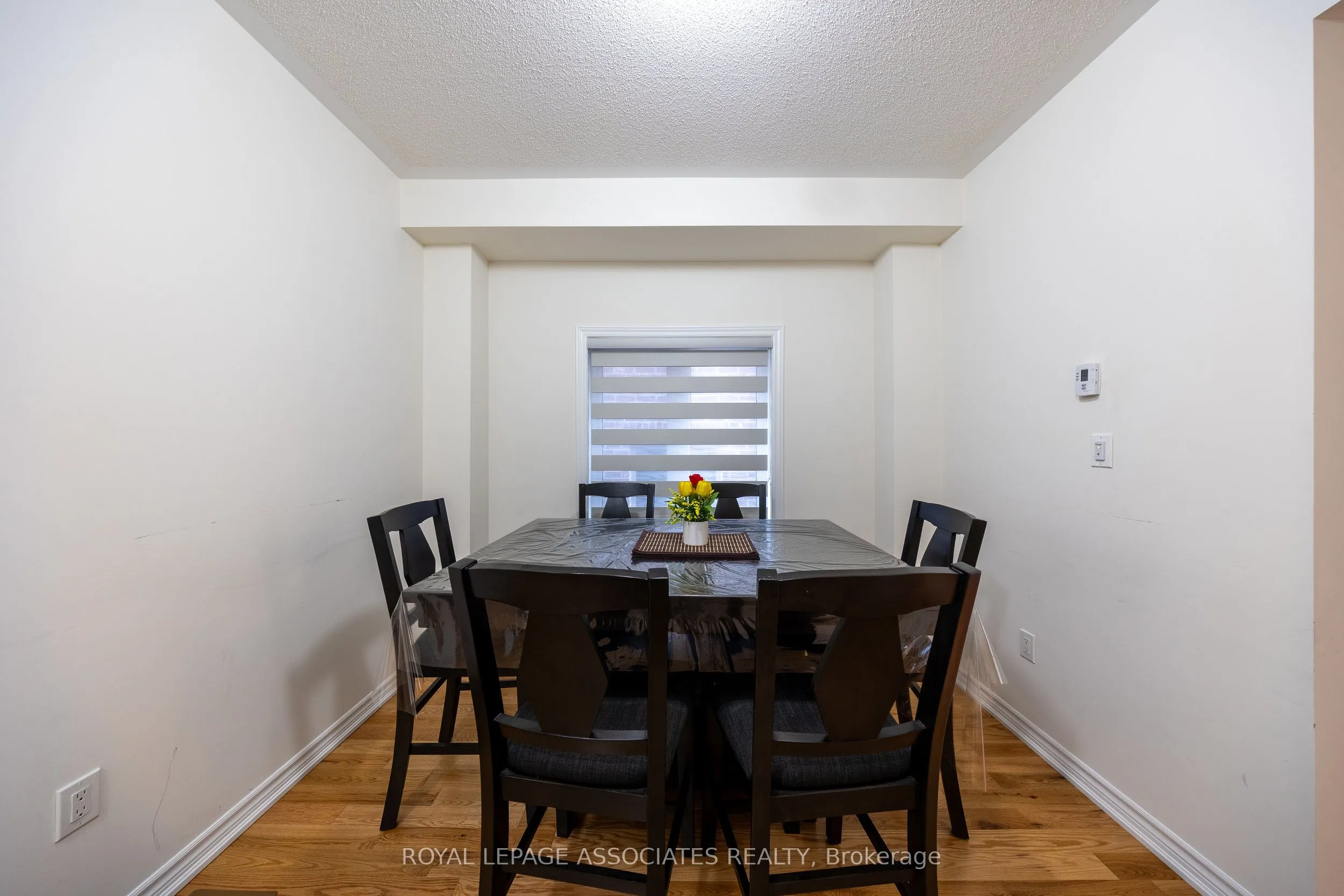 2529 Athena Path