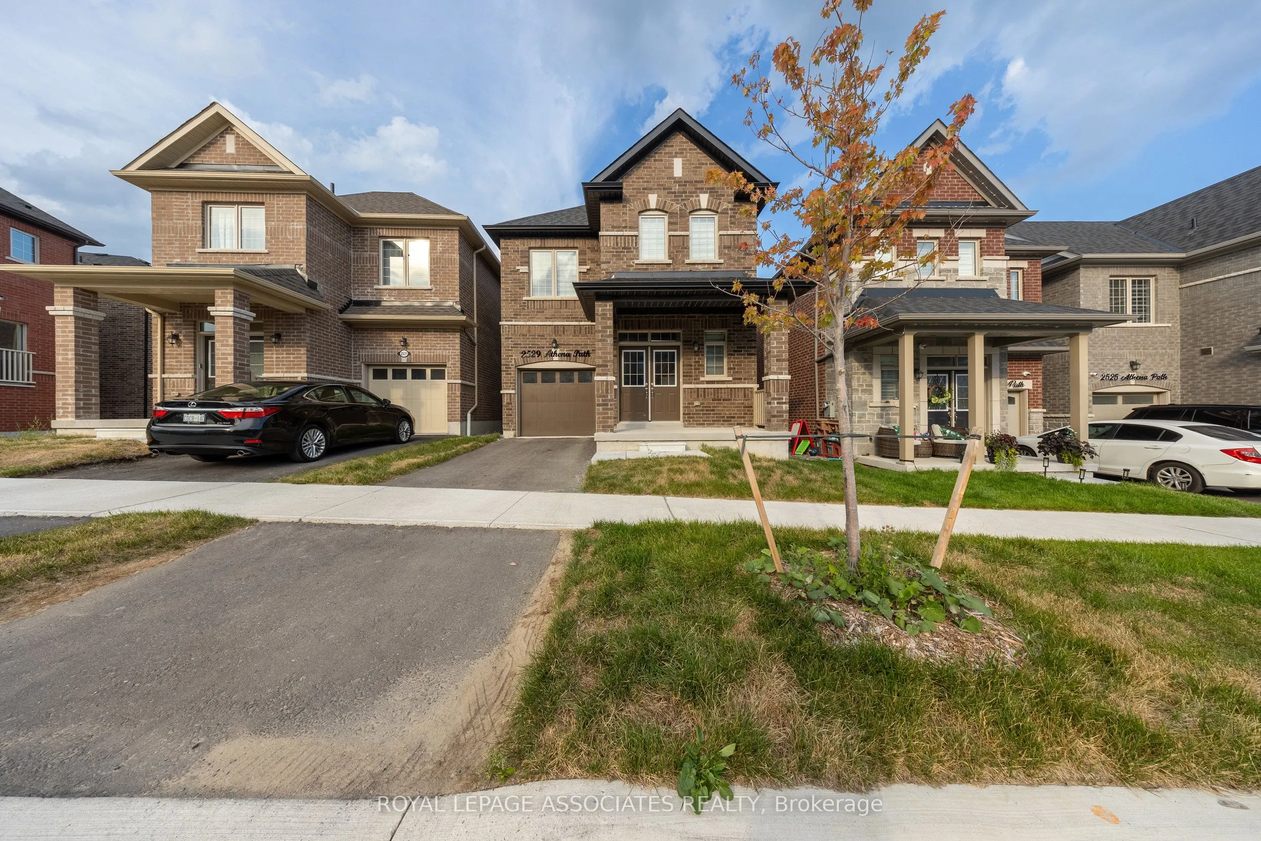 2529 Athena Path