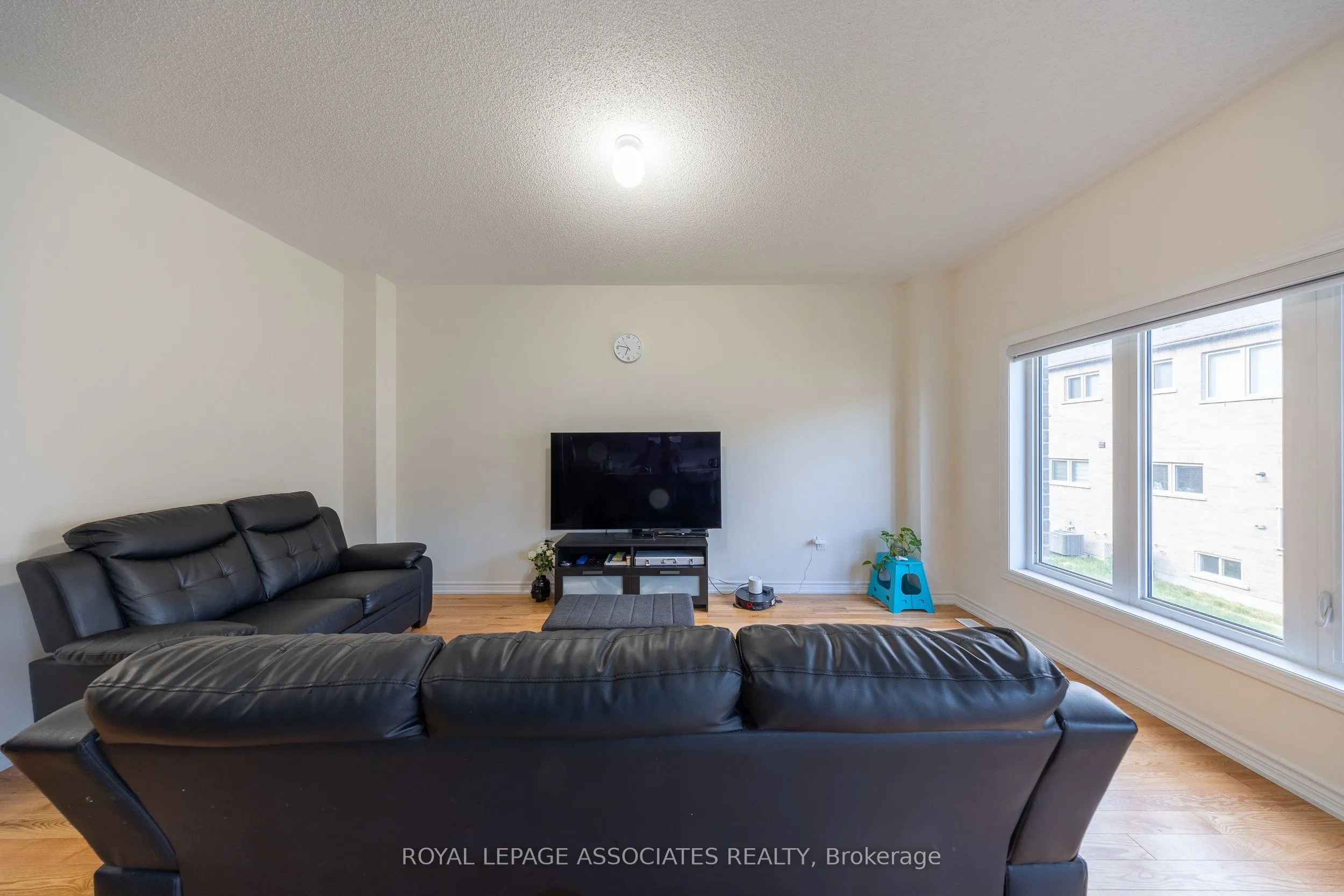 2529 Athena Path