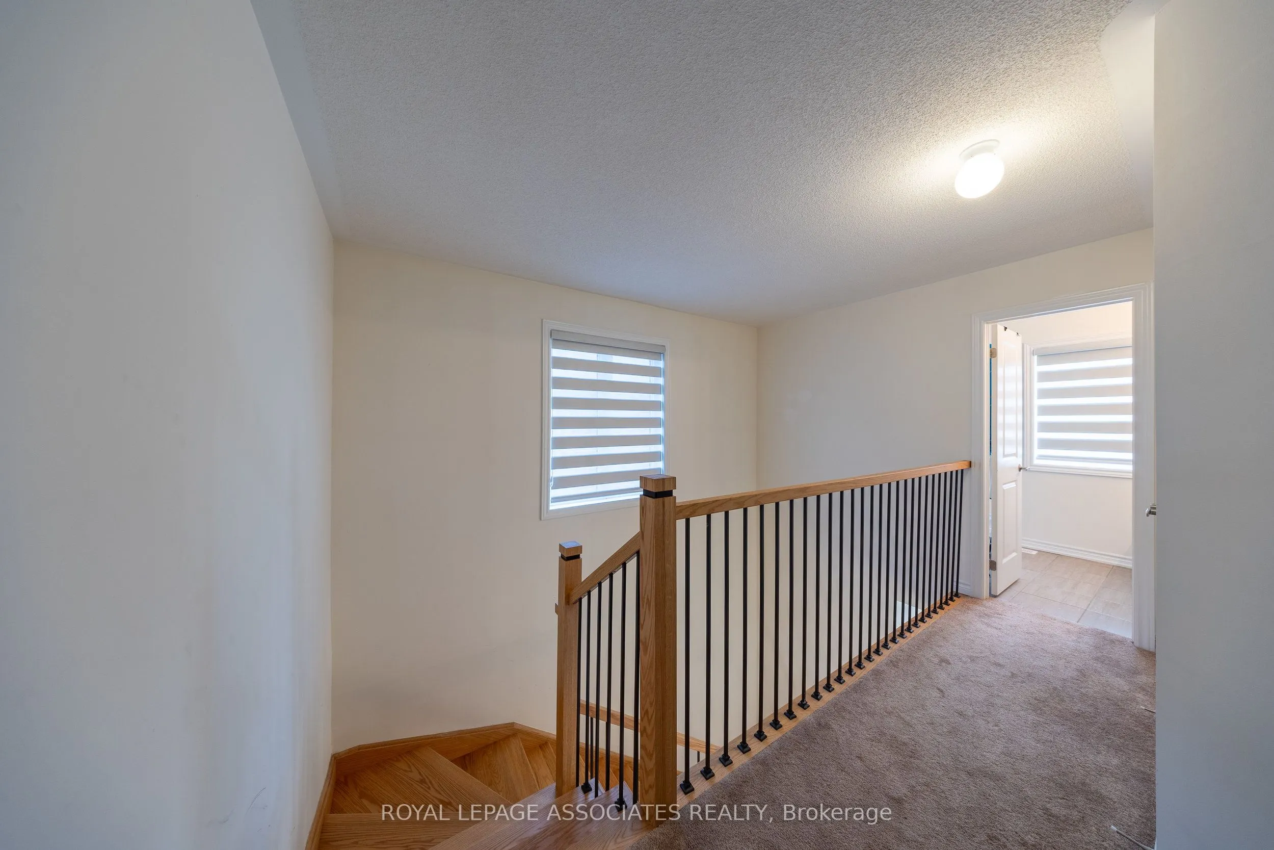 2529 Athena Path