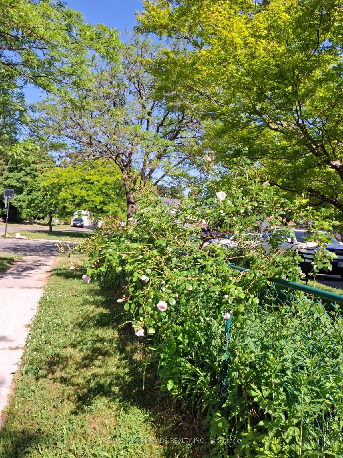 66 Bushwood Court