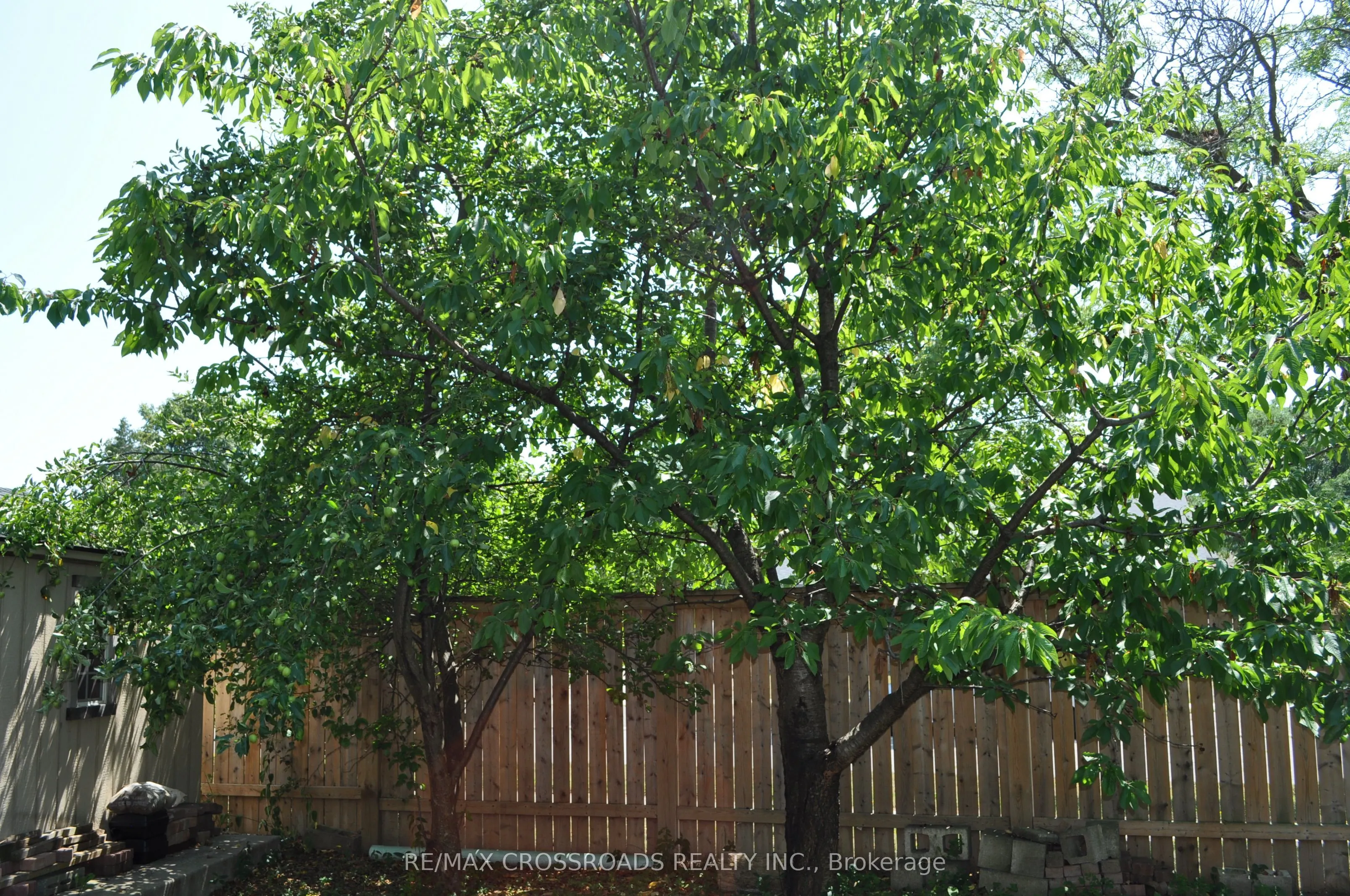 66 Bushwood Court