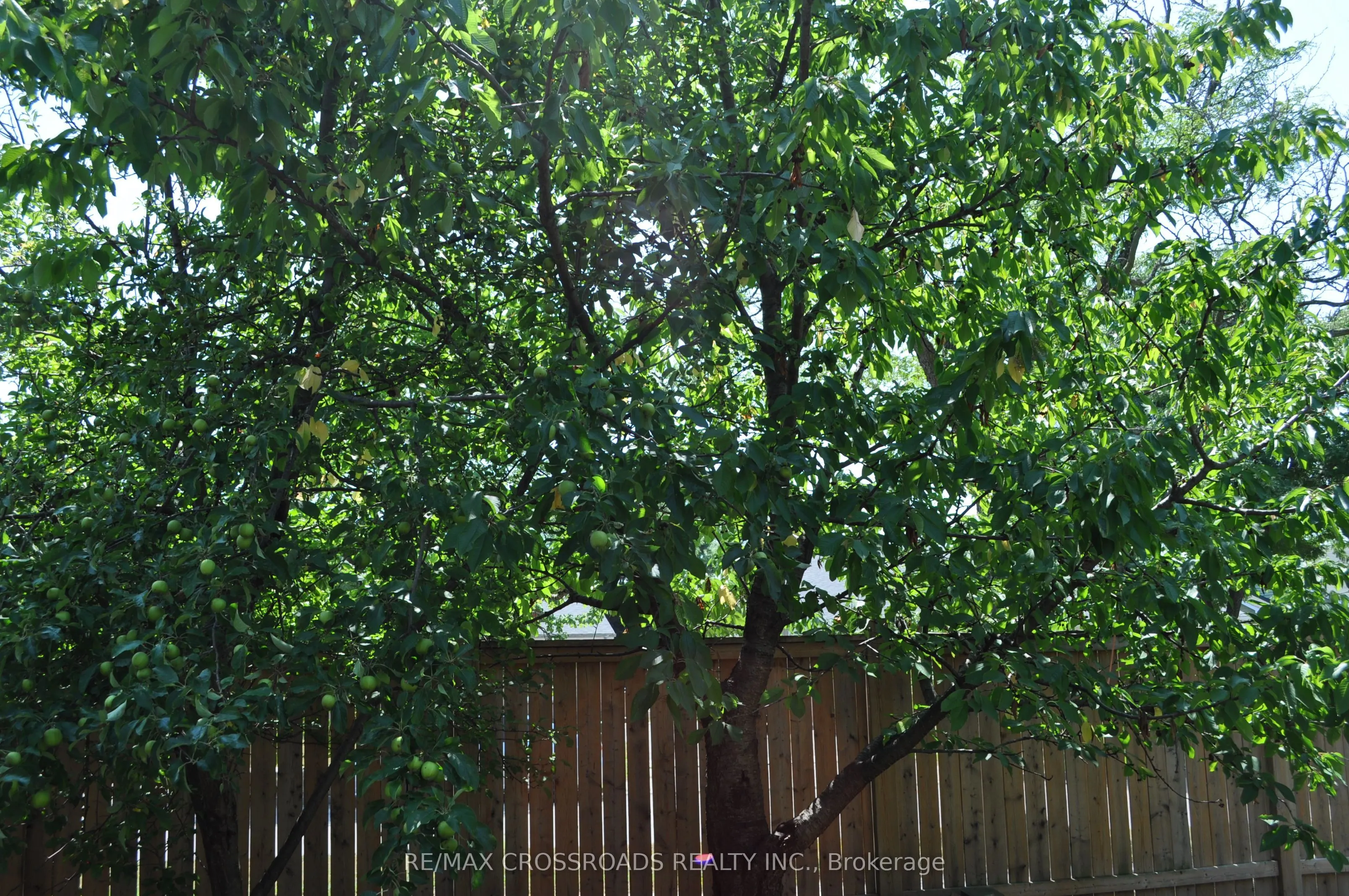 66 Bushwood Court