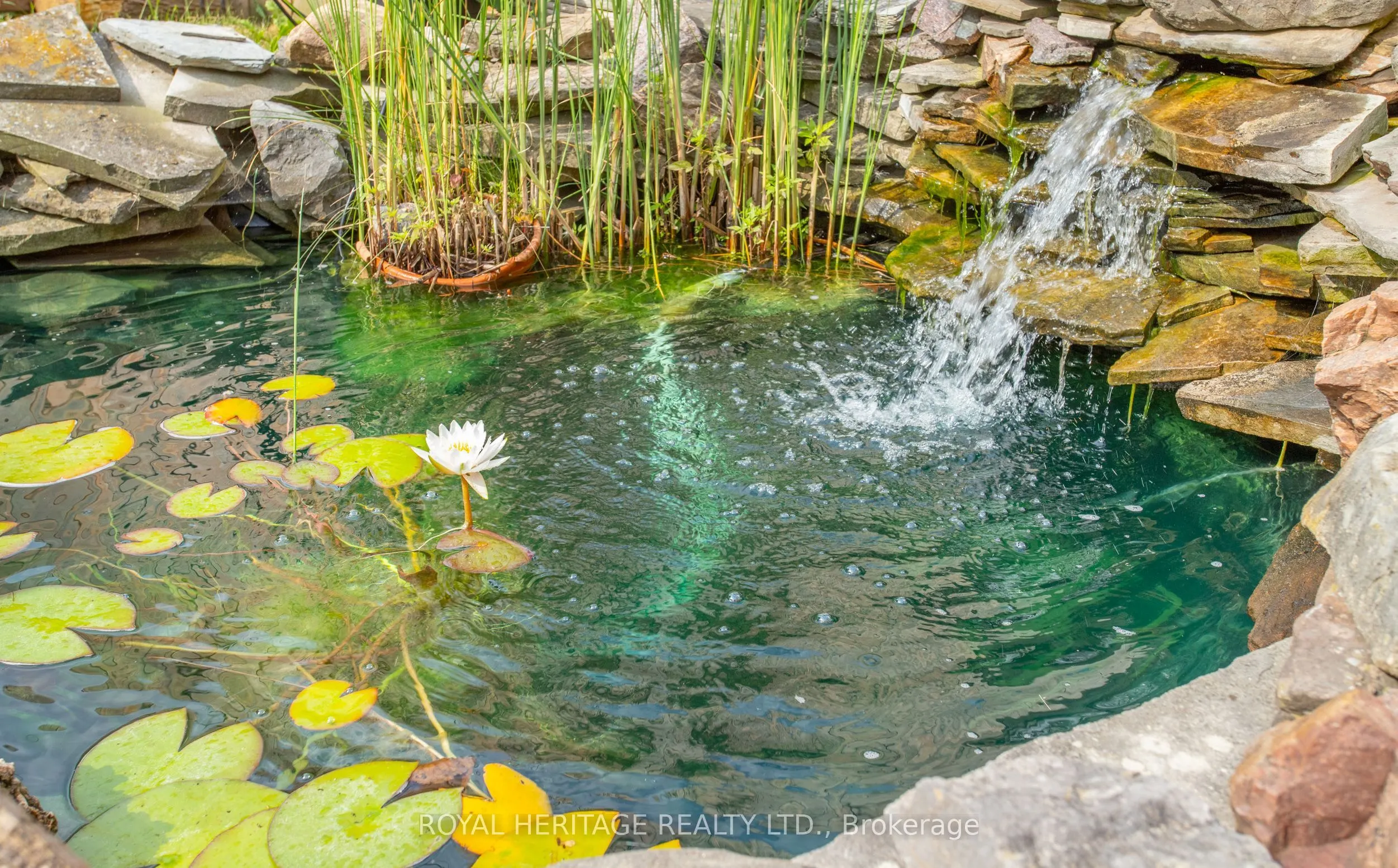 1362 Lakefield Street