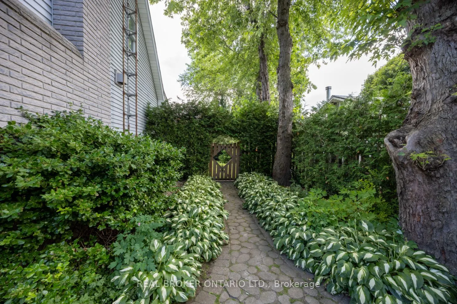 10 Brownsville Court