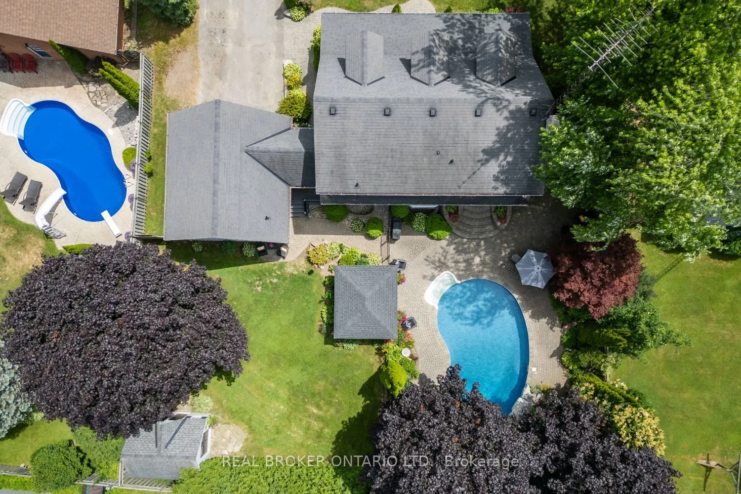10 Brownsville Court