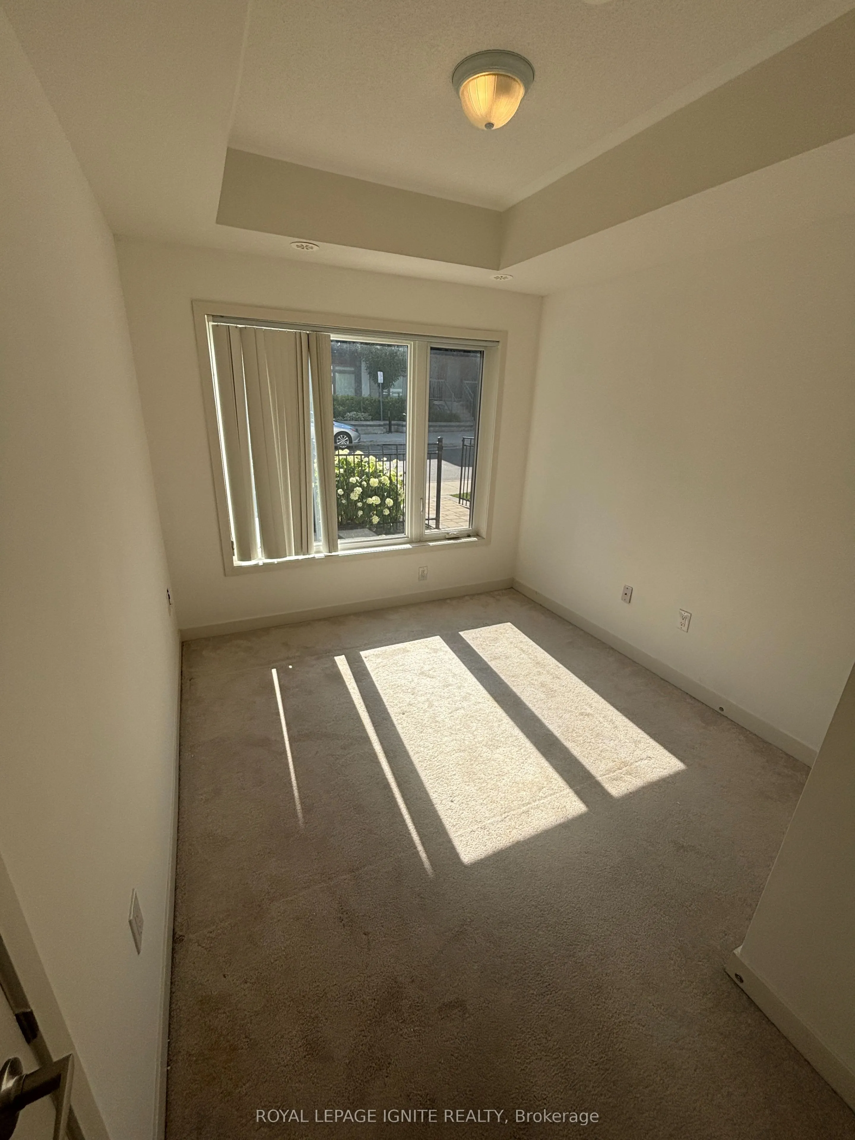 60 Orchid Place Drive #16