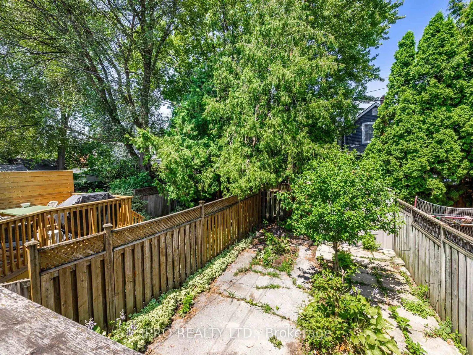 44 Queensdale Avenue