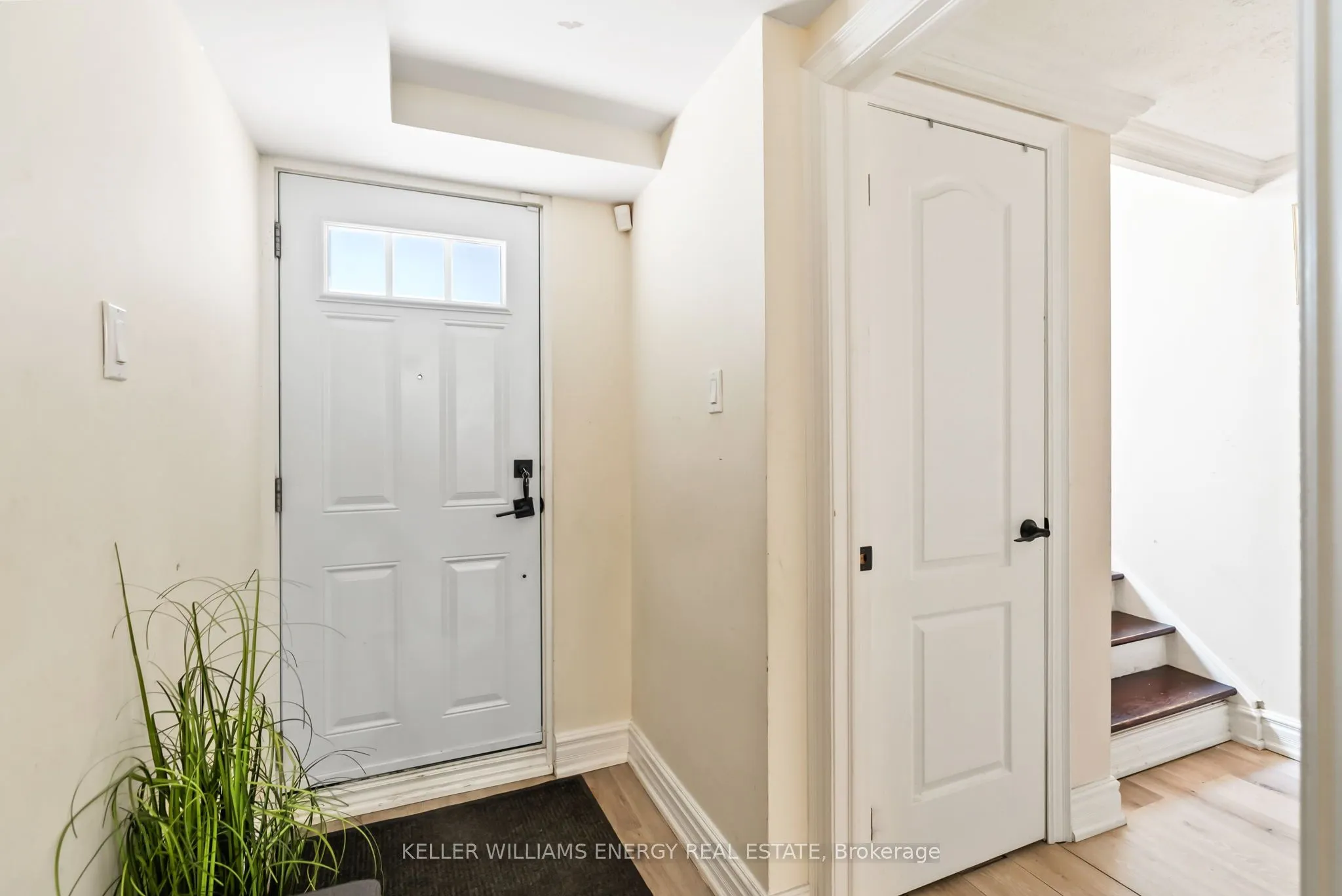 110 Littleleaf Drive