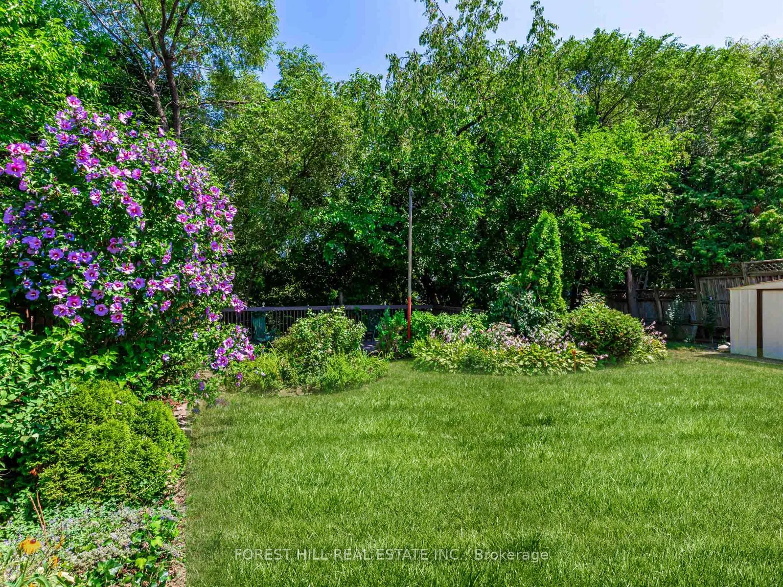 27 Fitzgibbon Avenue