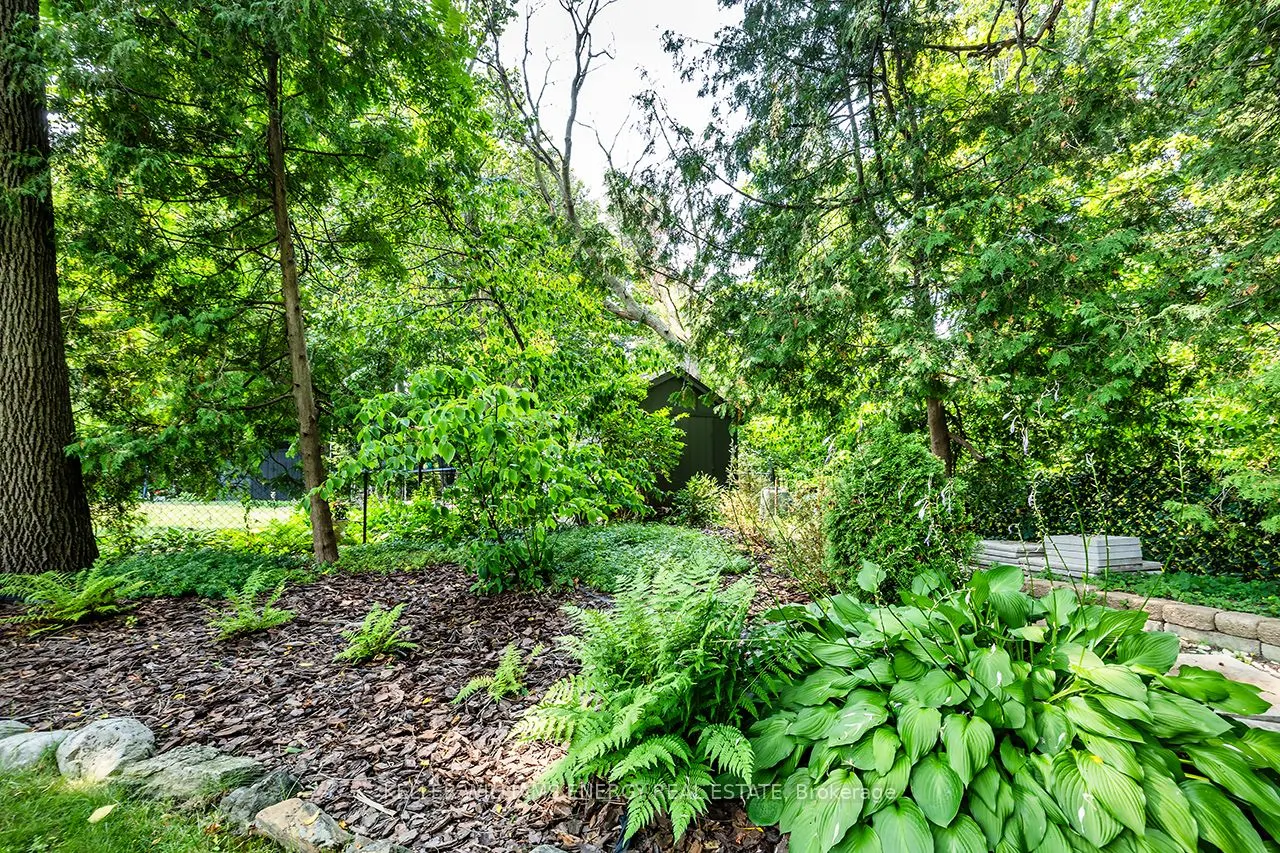 1118 Lobelia Court