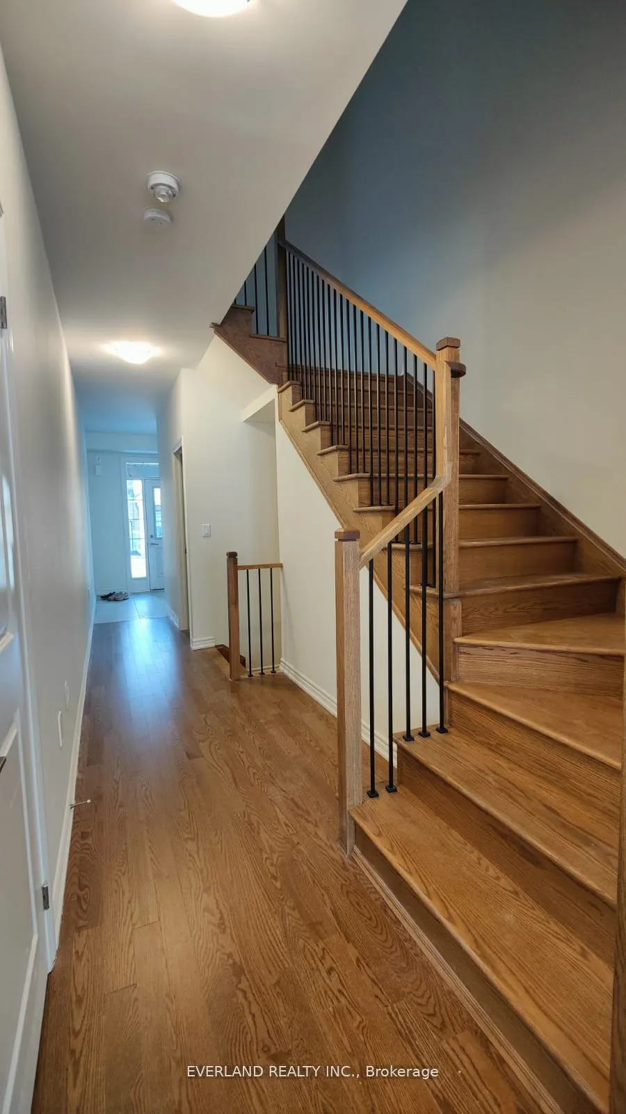 49 Velvet Drive