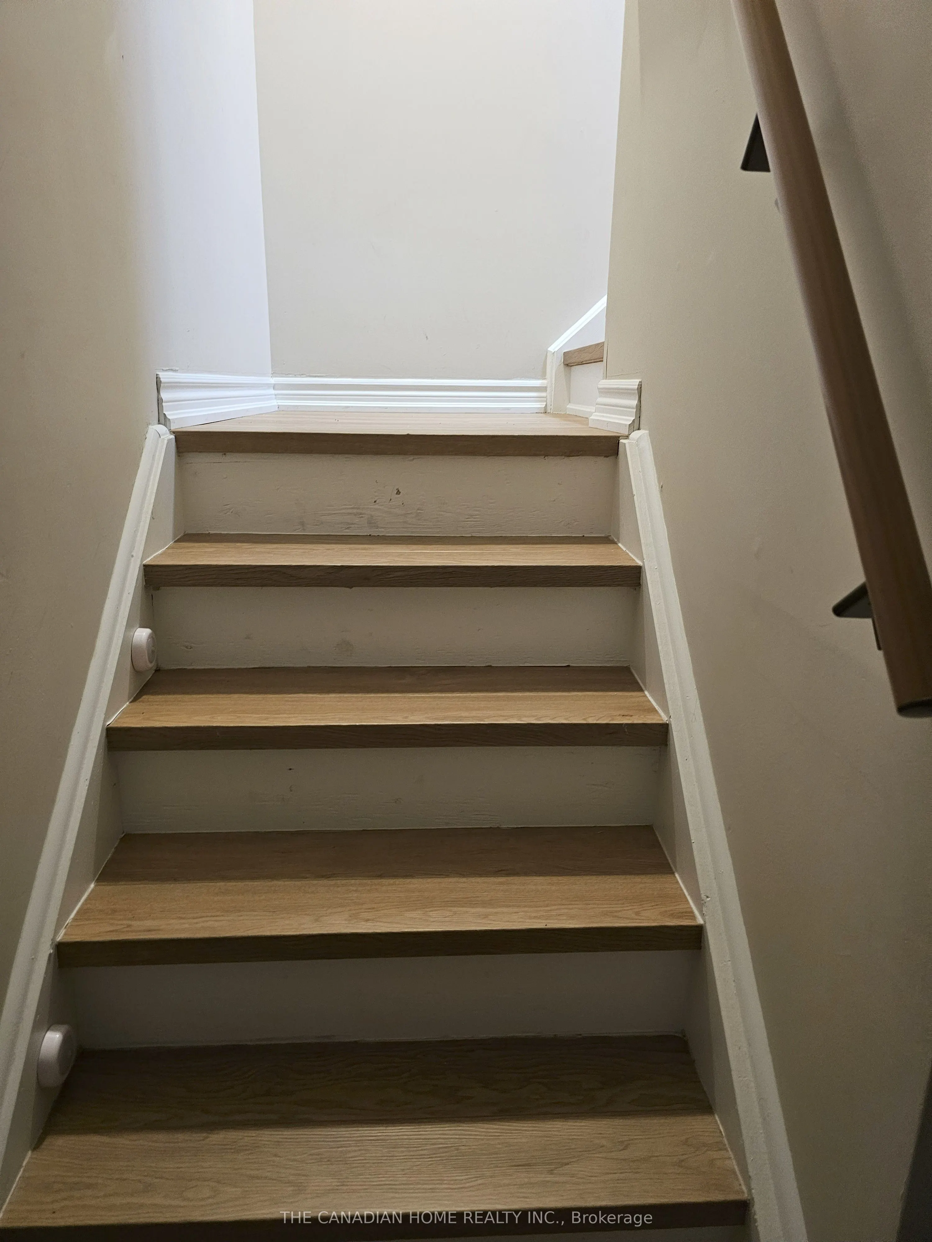 28 Whitefoot Crescent, #BASEMENT