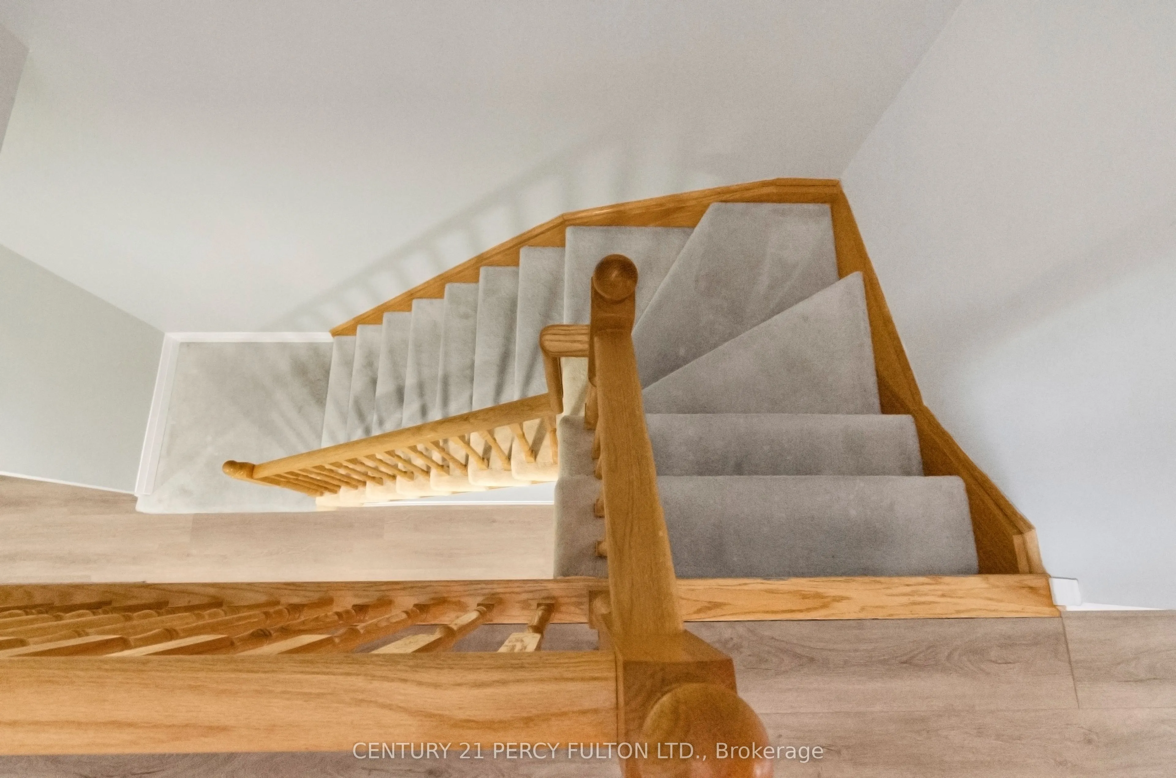 19 Odessa Crescent
