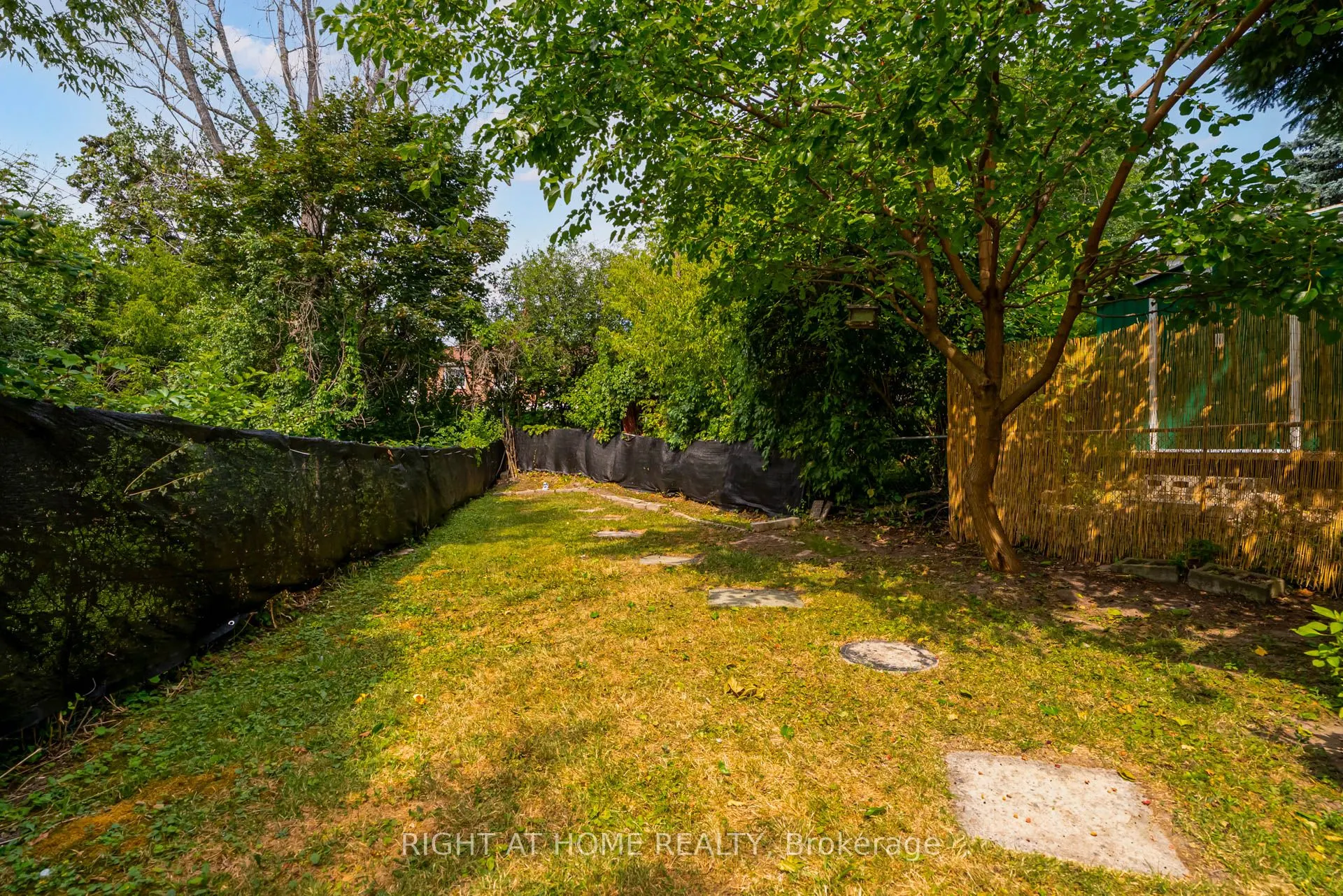 58 Anaconda Avenue