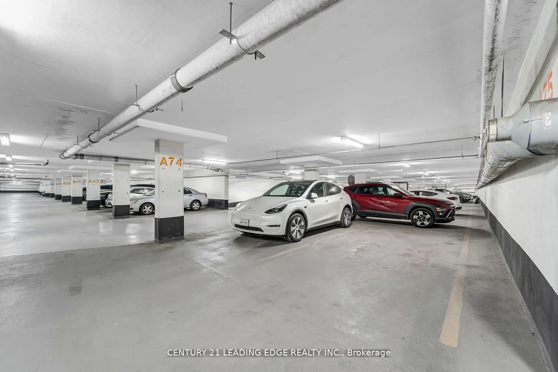 8 Rosebank Drive, #9C