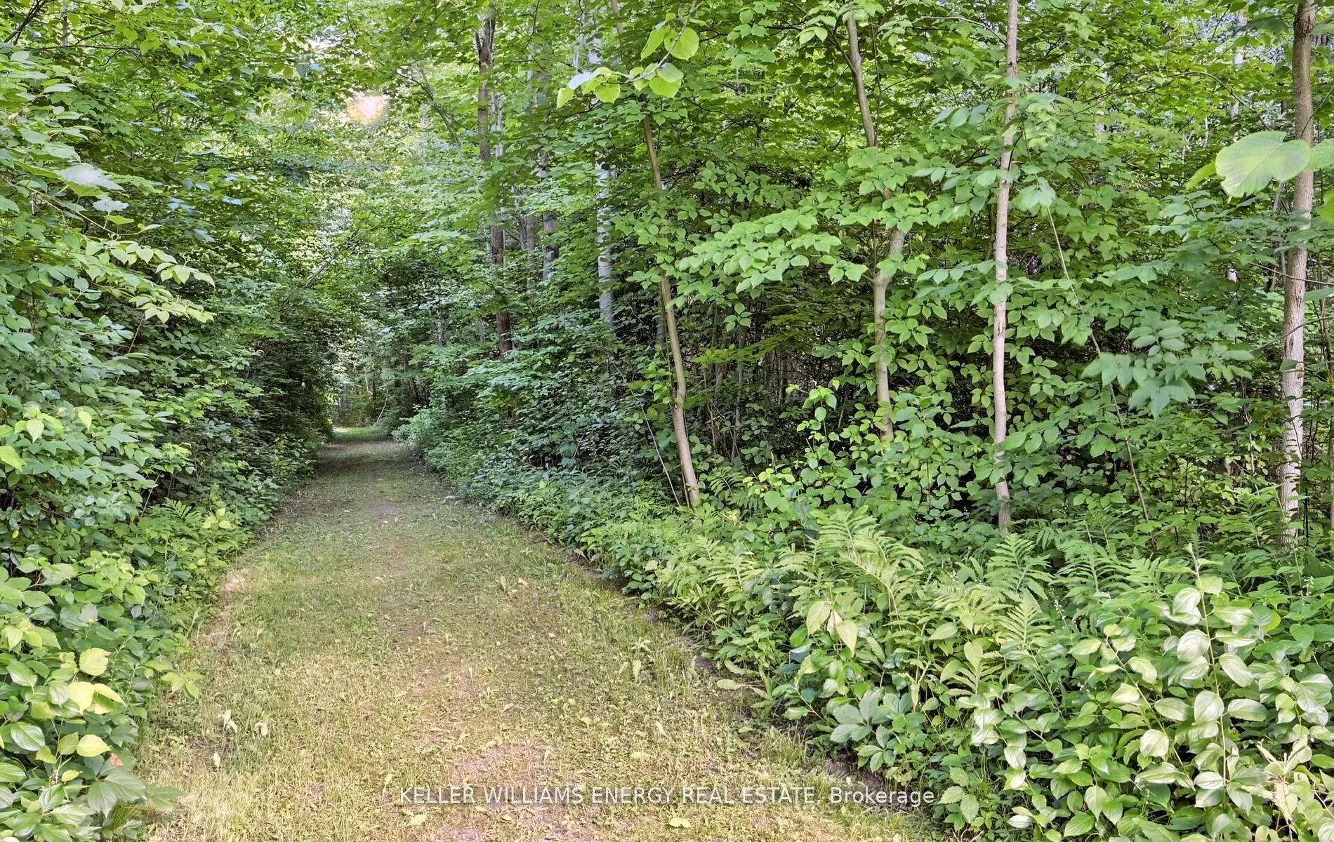 19375 Mississaugas Trail