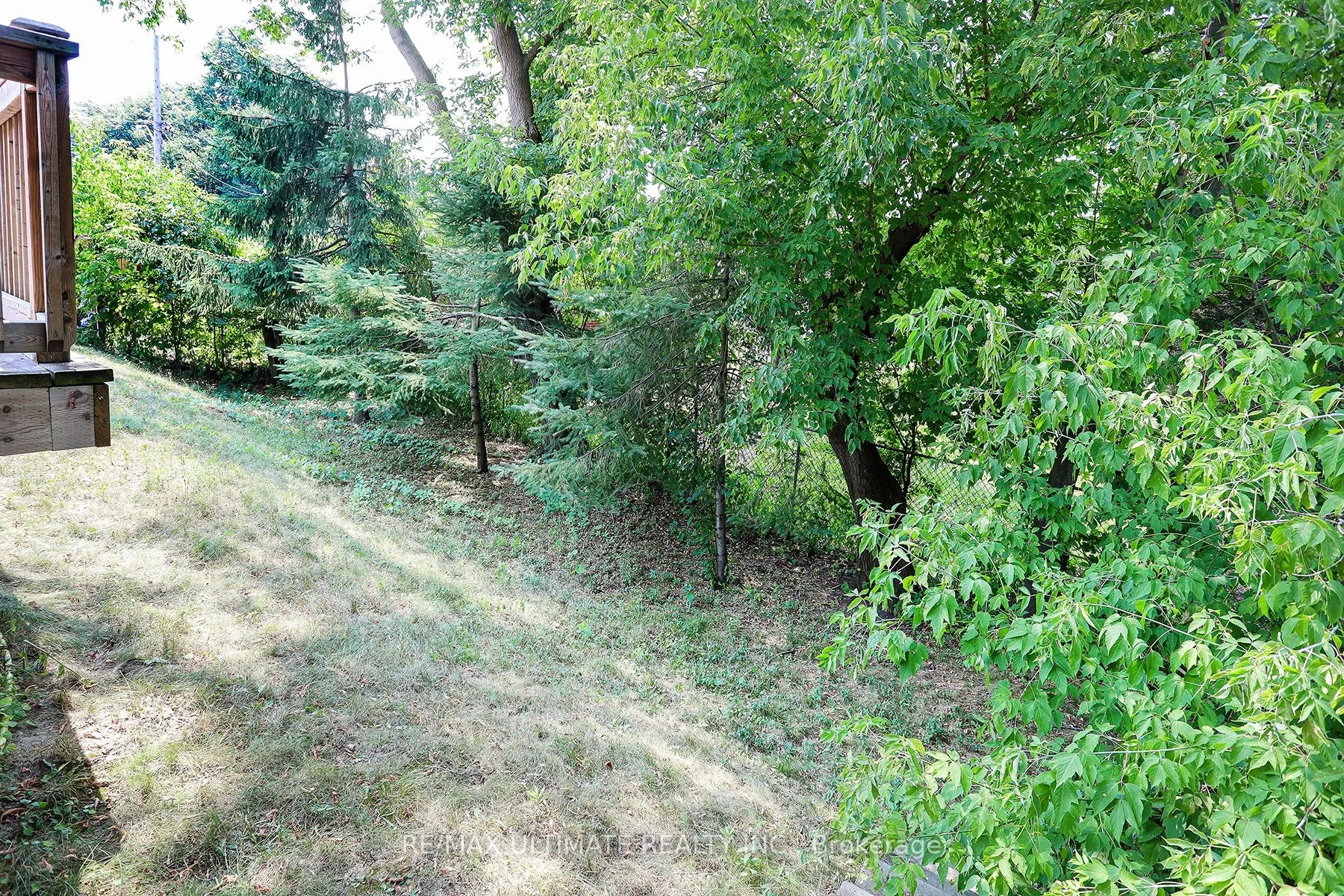 1232 Brimley Road