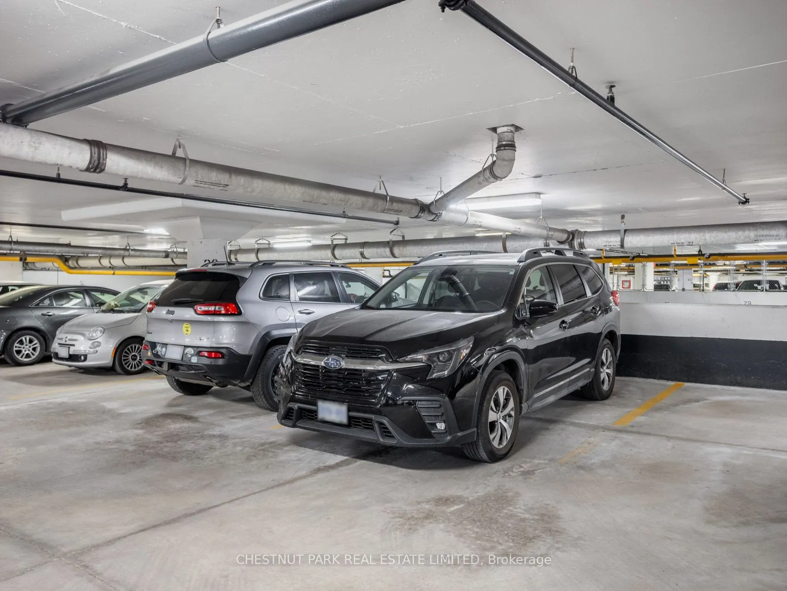 46 Boston Avenue, #3