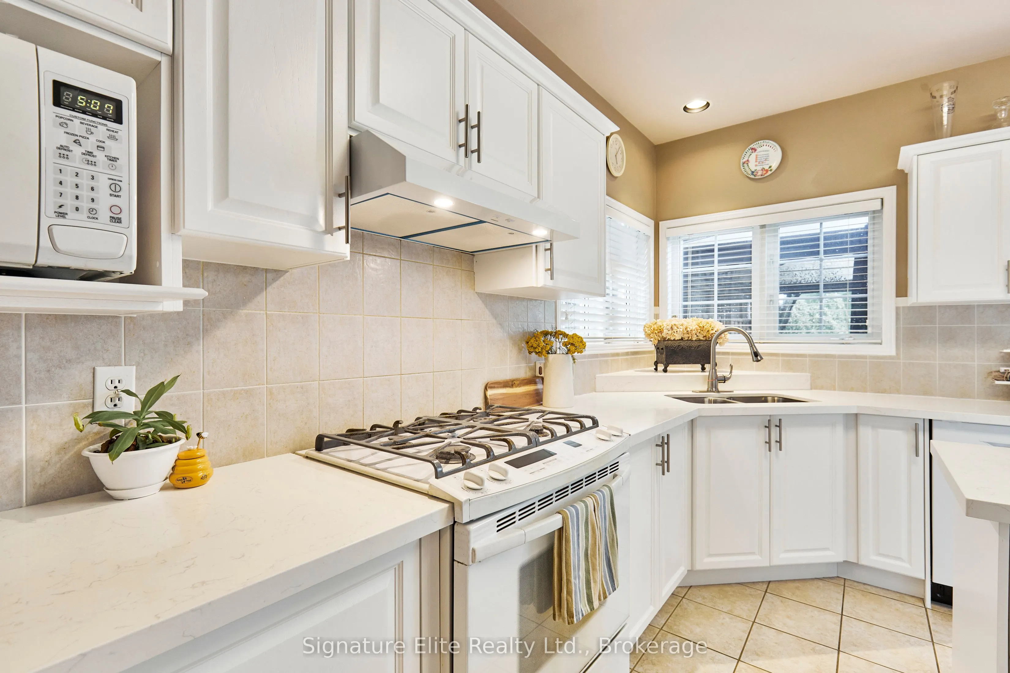 51 Roan Drive