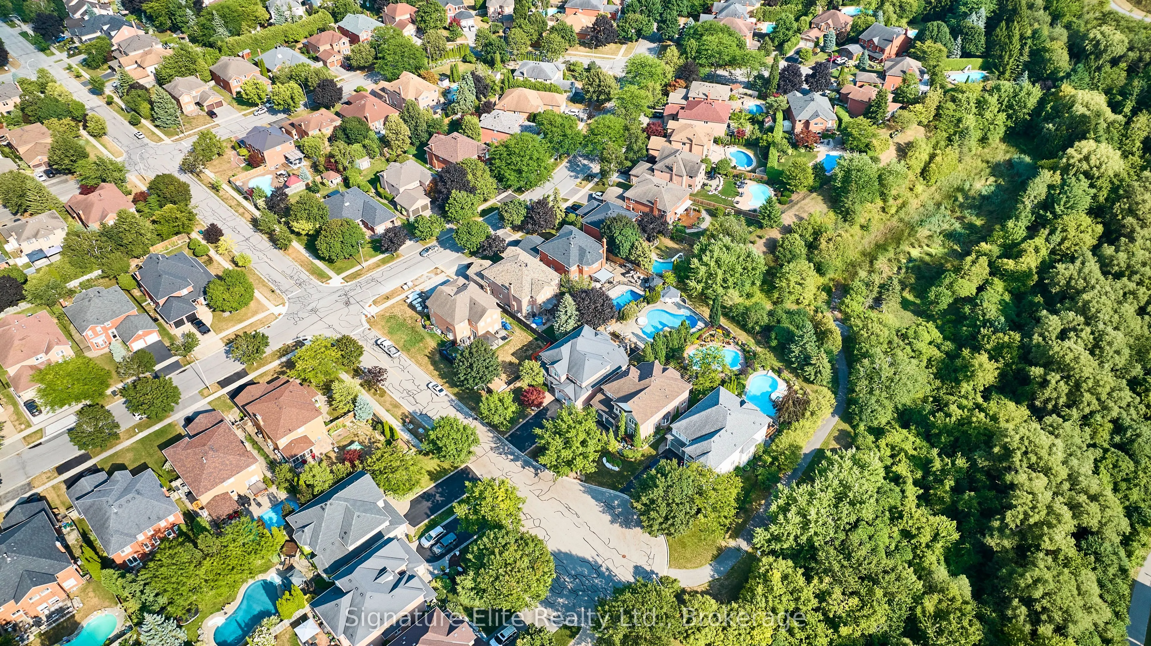 51 Roan Drive