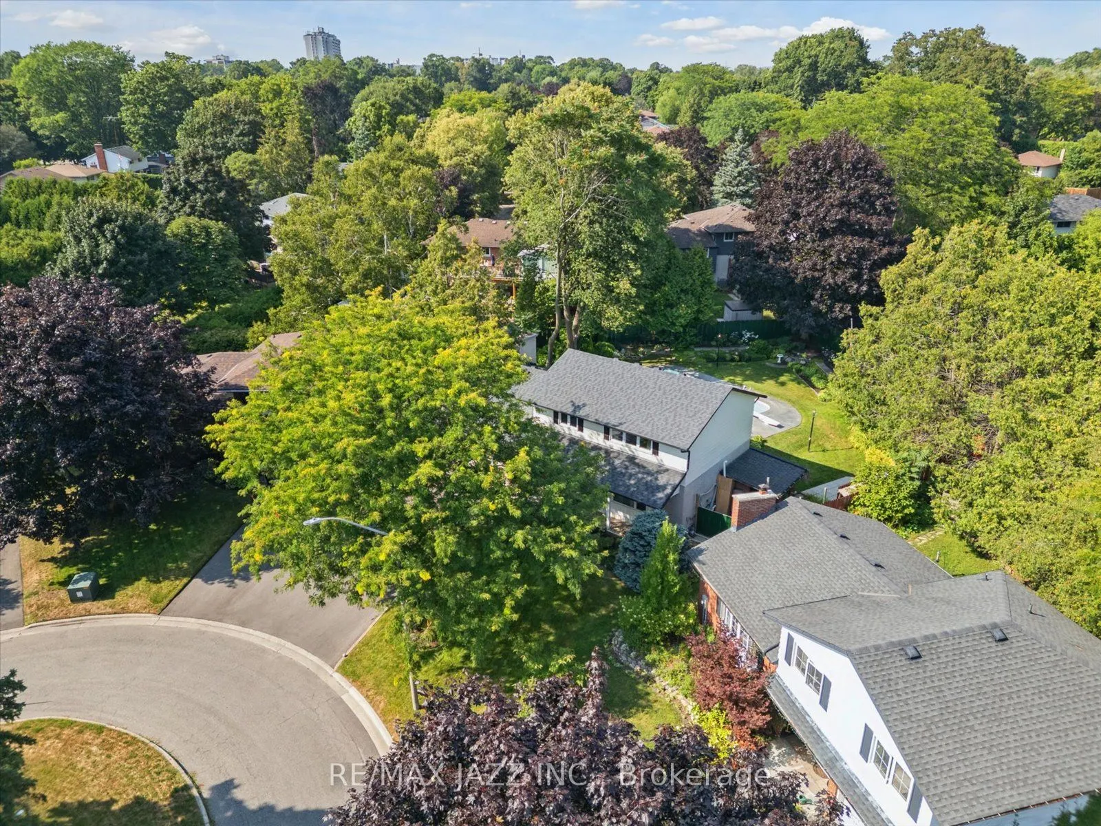973 Orchid Court
