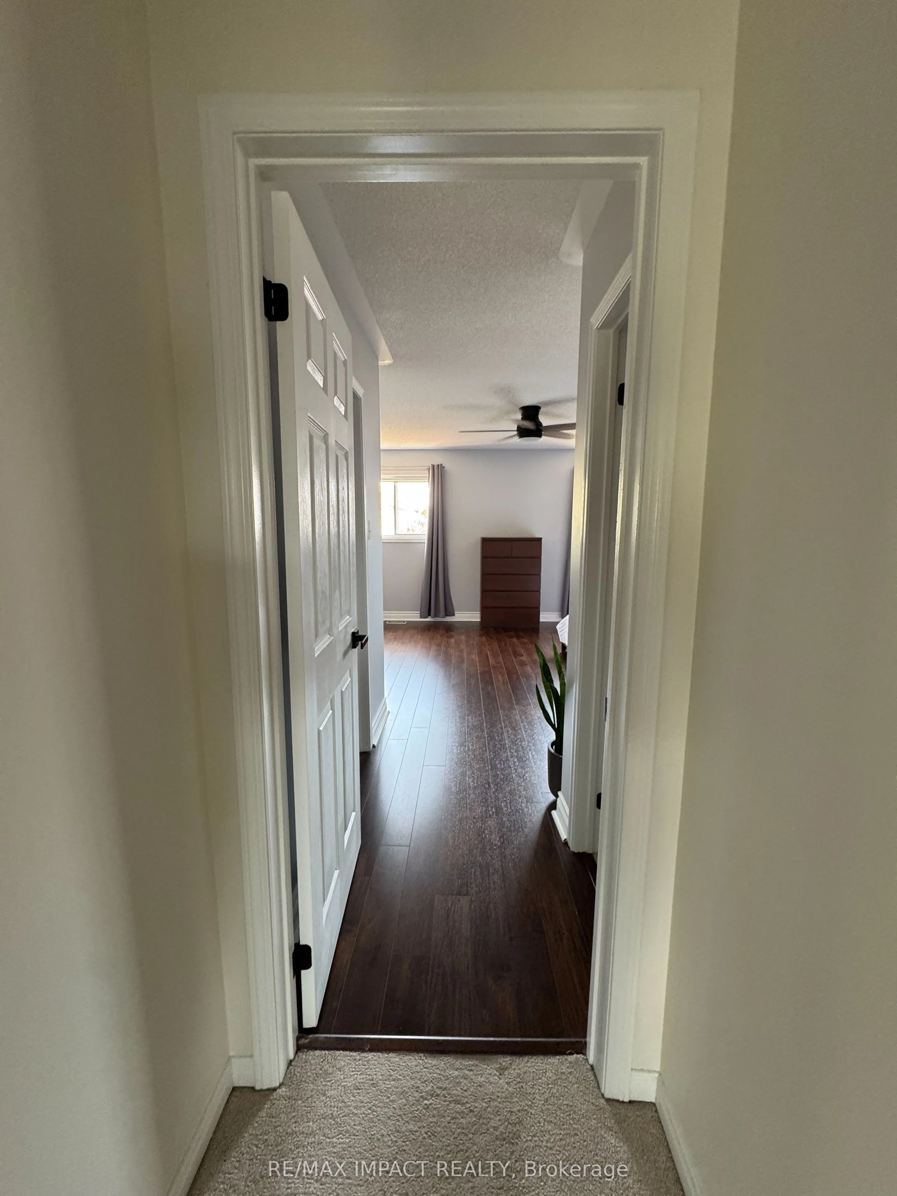 31 Quackenbush Street