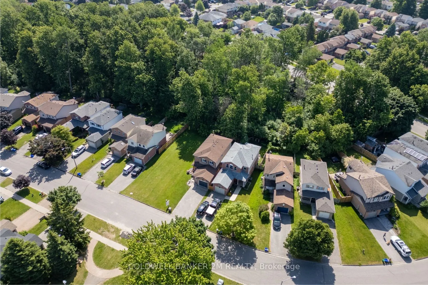 11 Parklawn Drive
