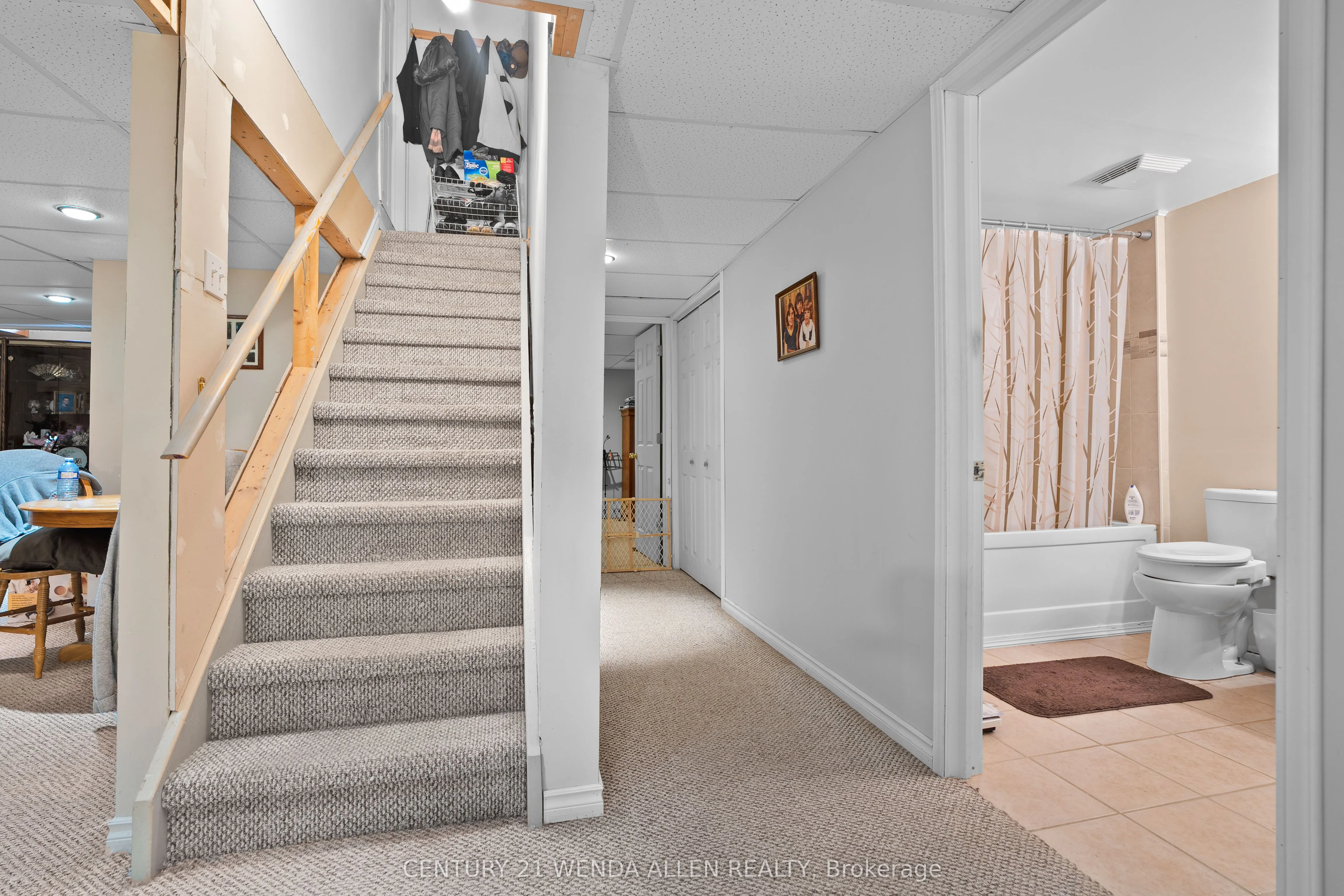 6 Hammond Street