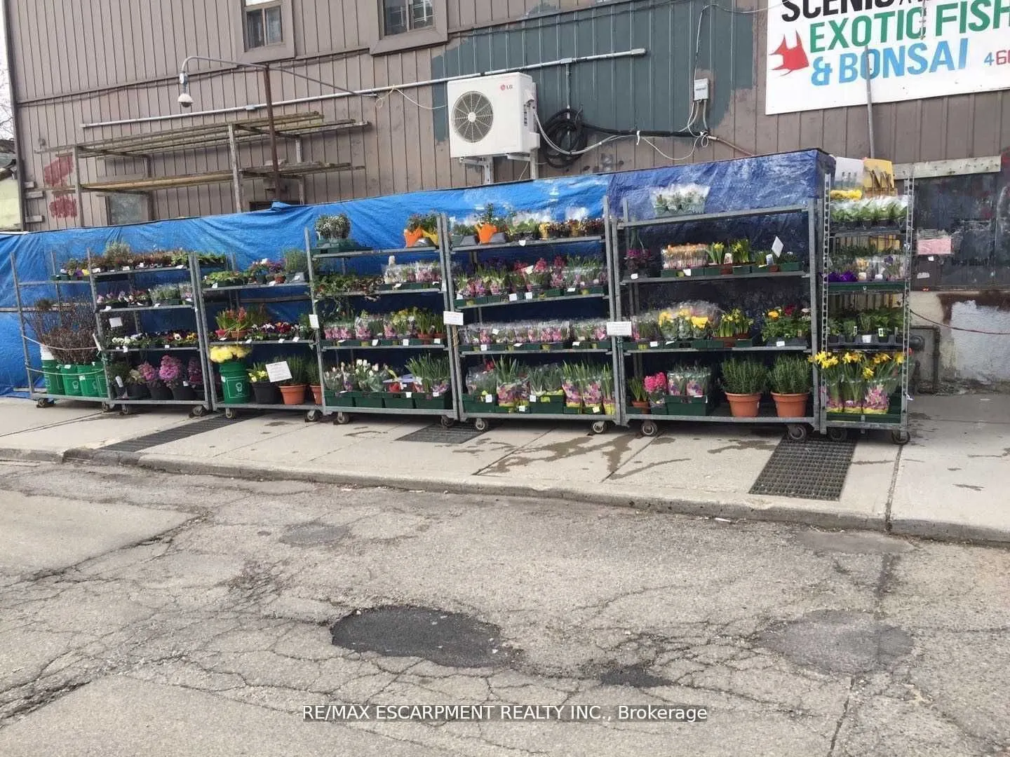 673 Gerrard Street E