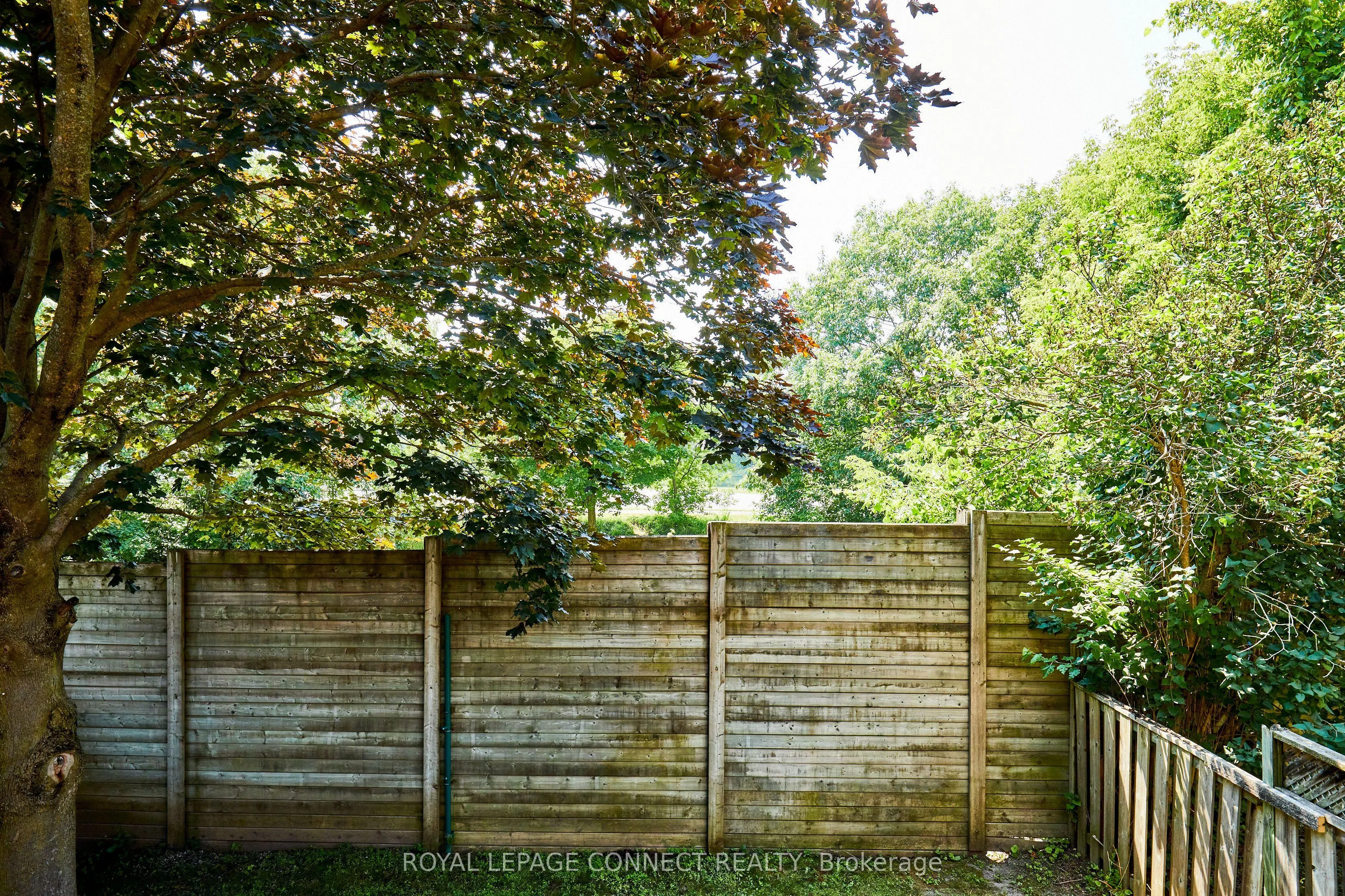 42 Elephant Hill Drive