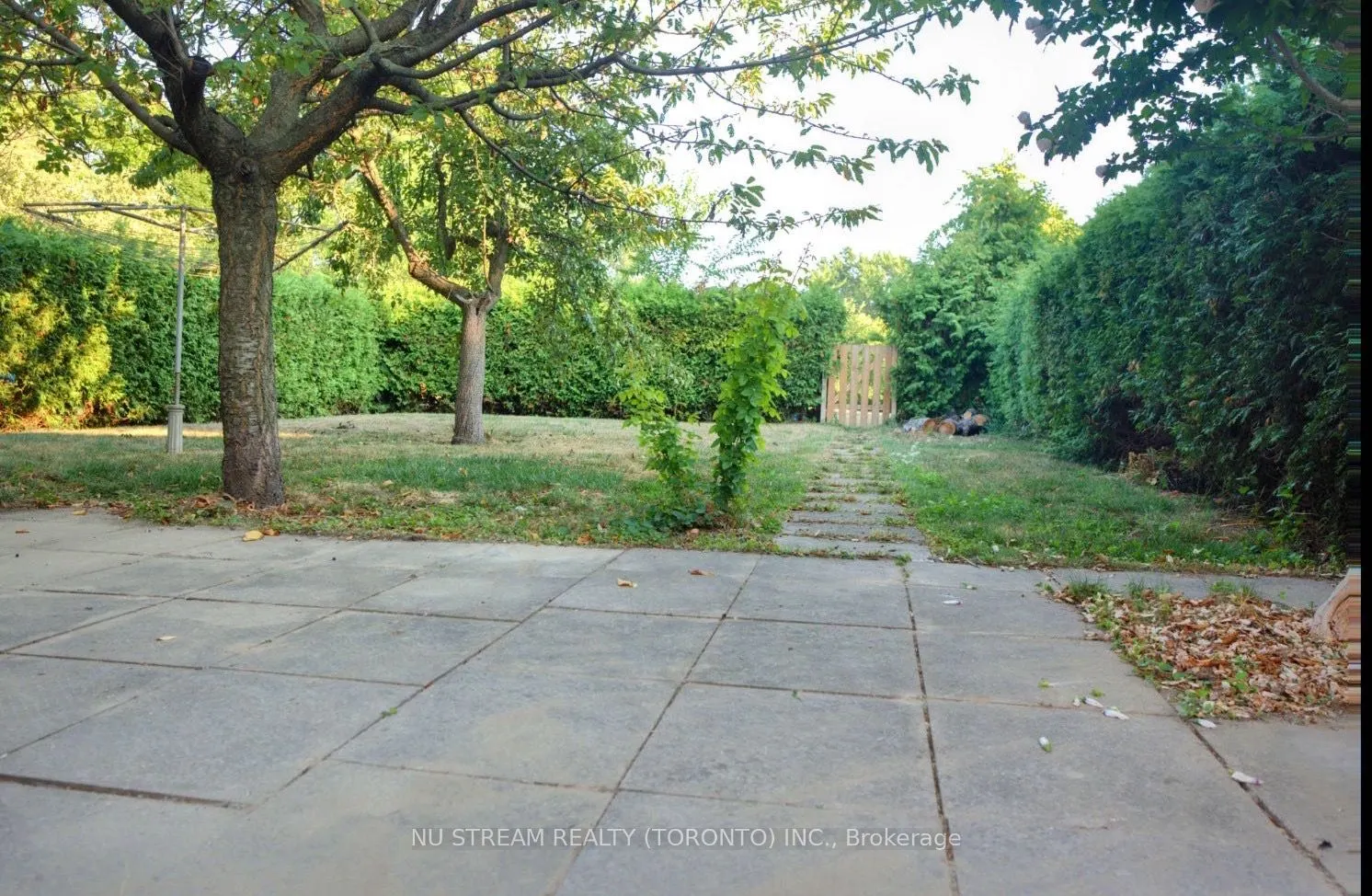 GROUND - 23 Havendale Road