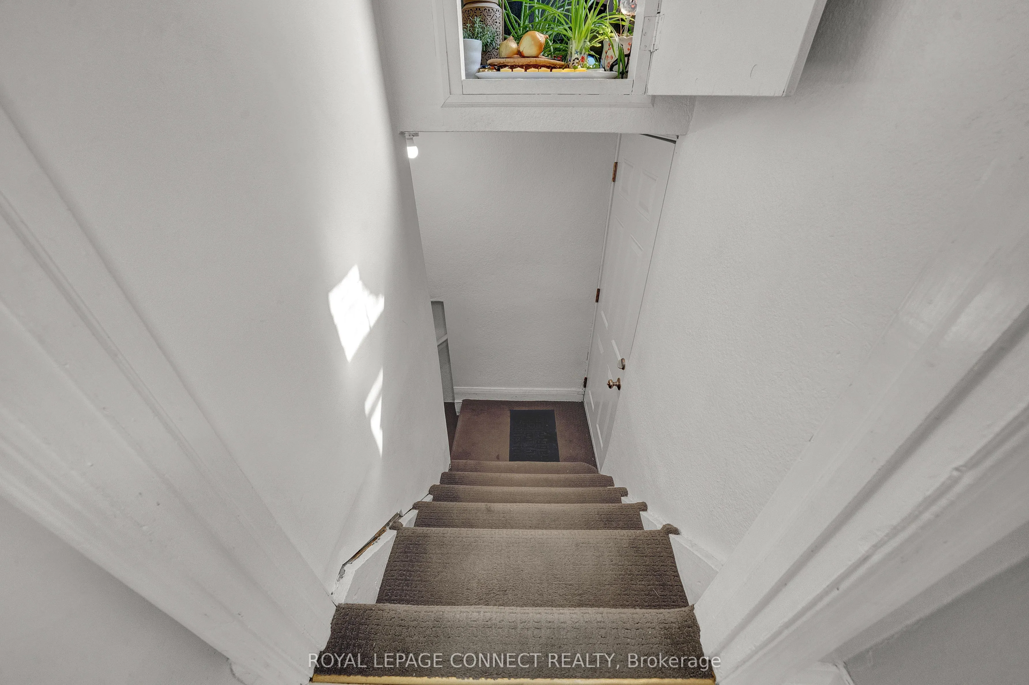 91 Lillington Avenue