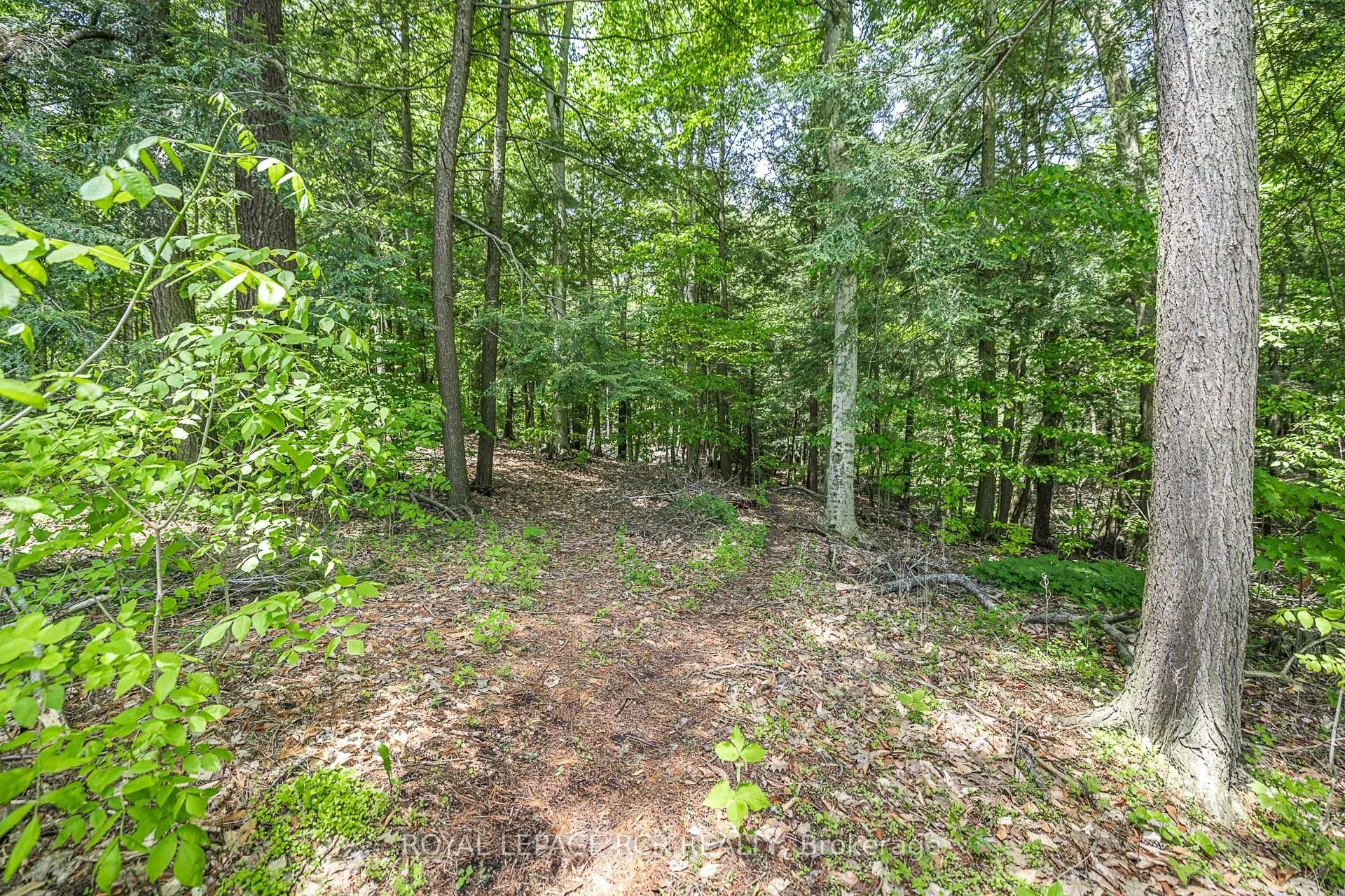 154 Pine Point Lane