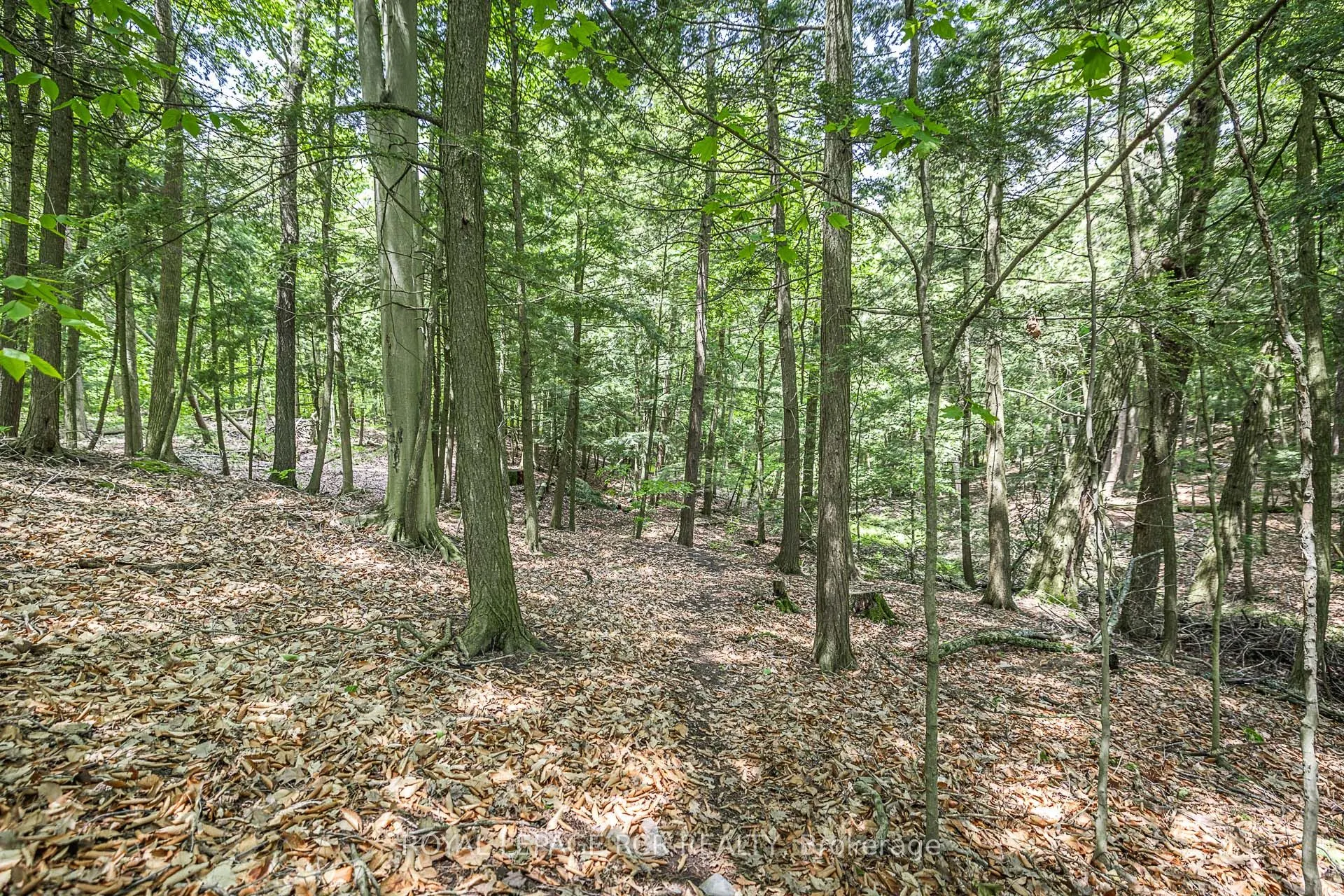 154 Pine Point Lane