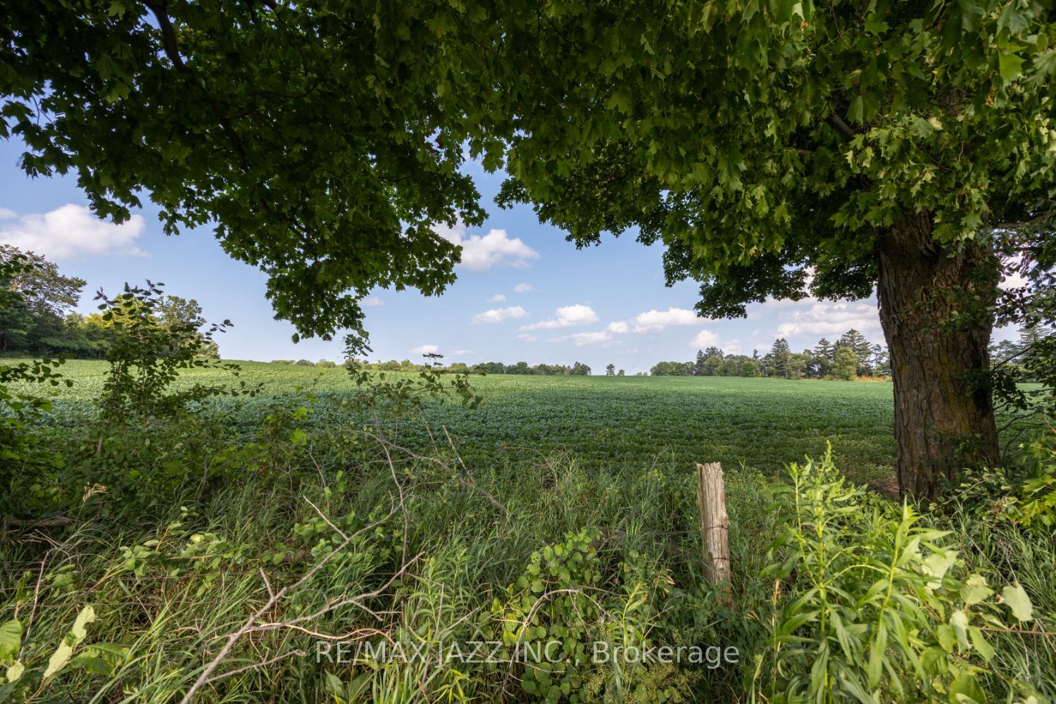 10239 Cochrane Road
