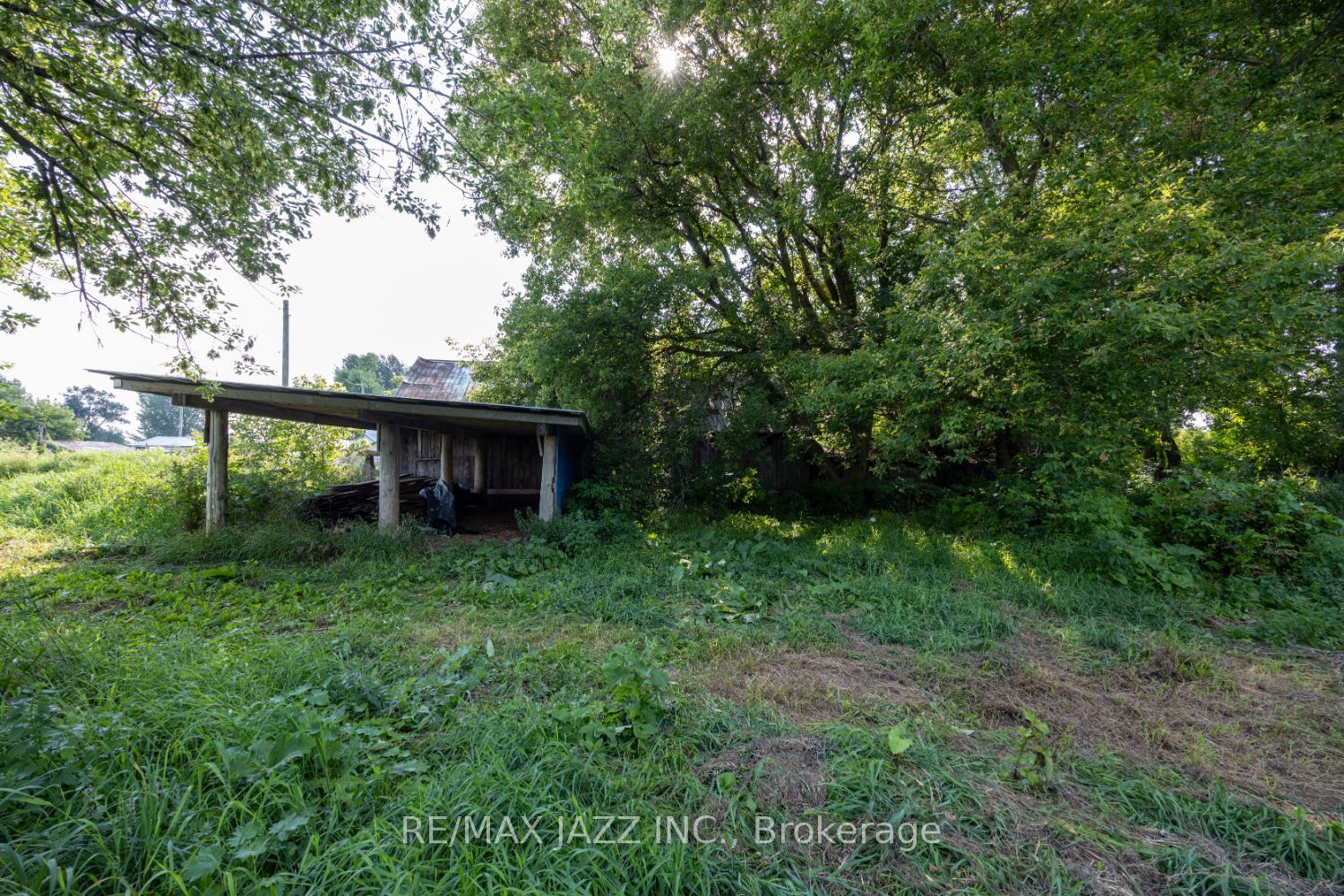 10239 Cochrane Road