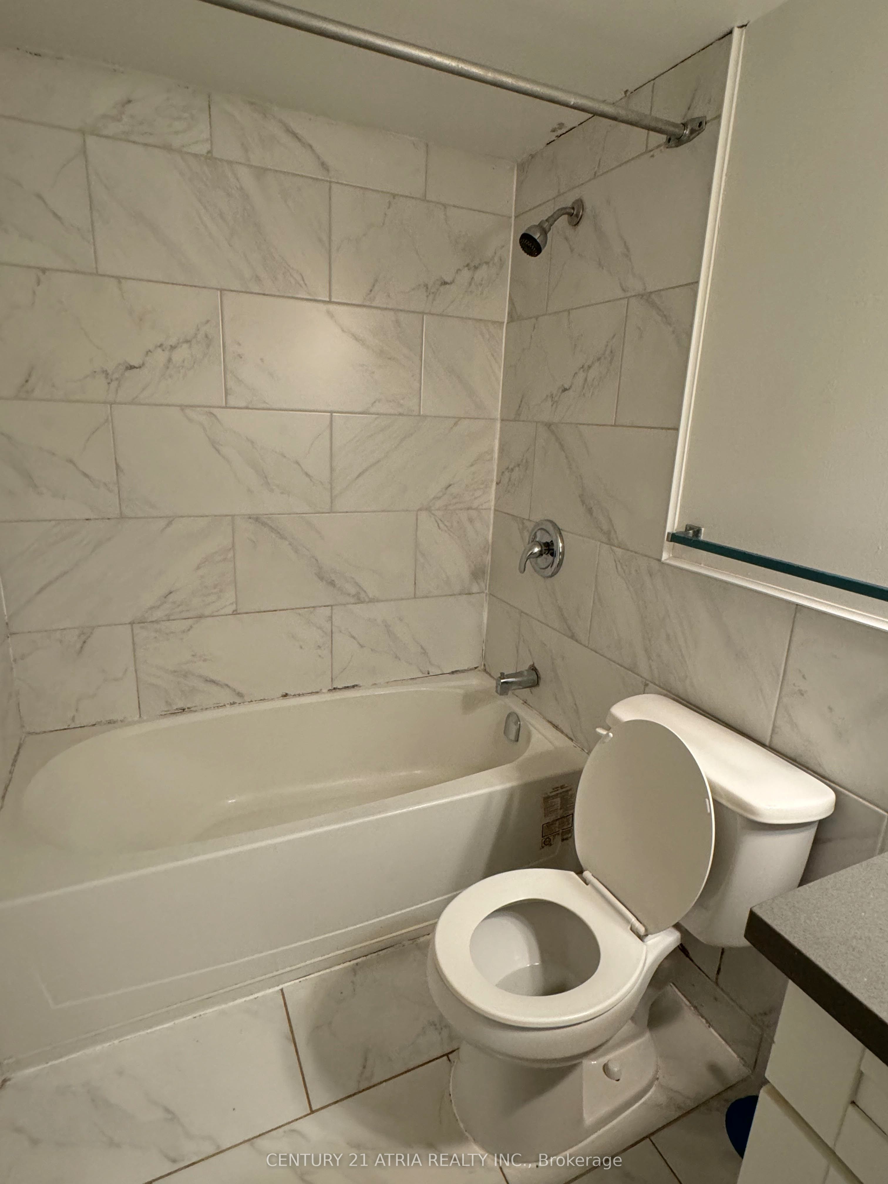 100 Wingarden Court, #1513