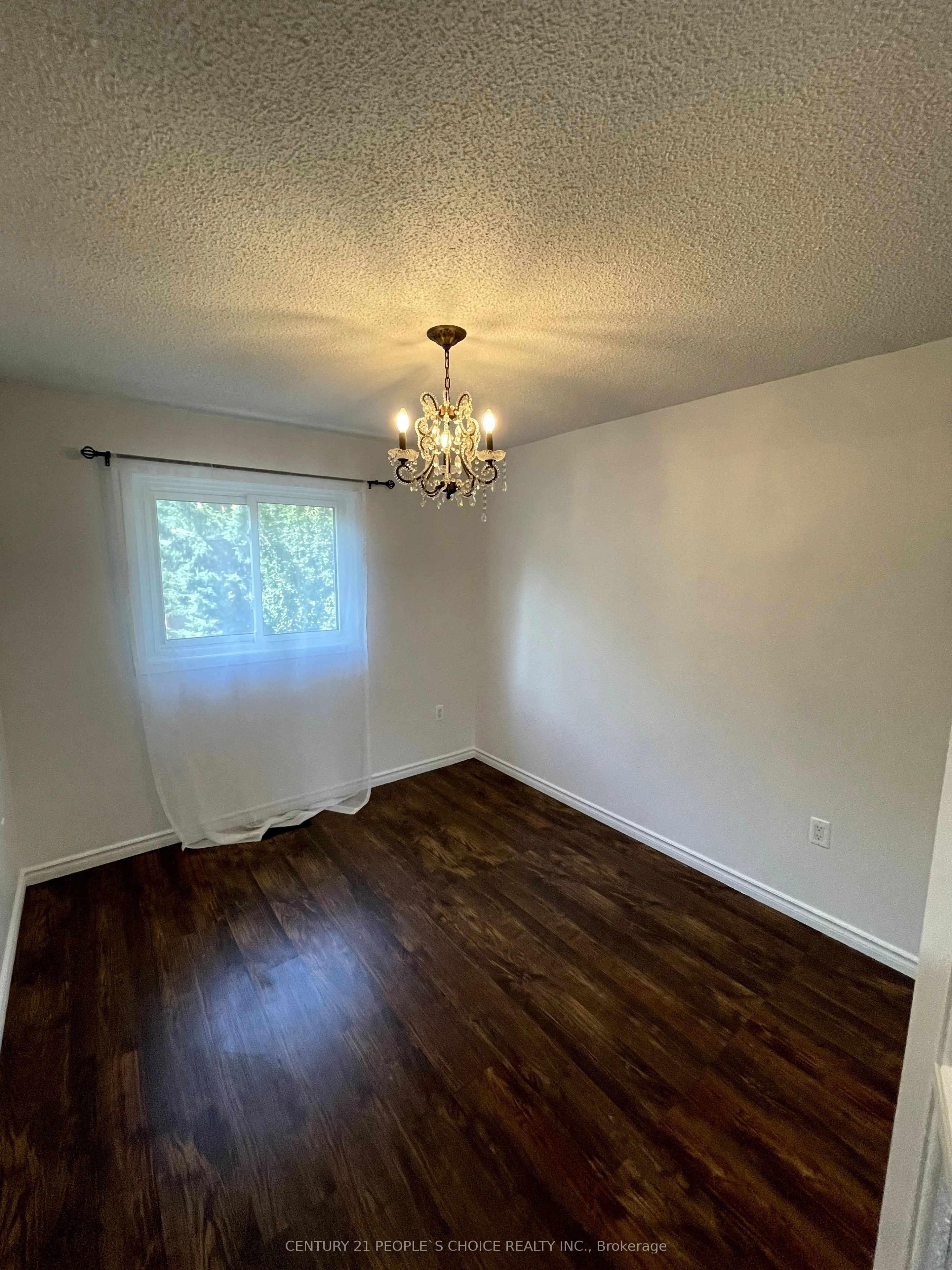 146 Delaney Drive