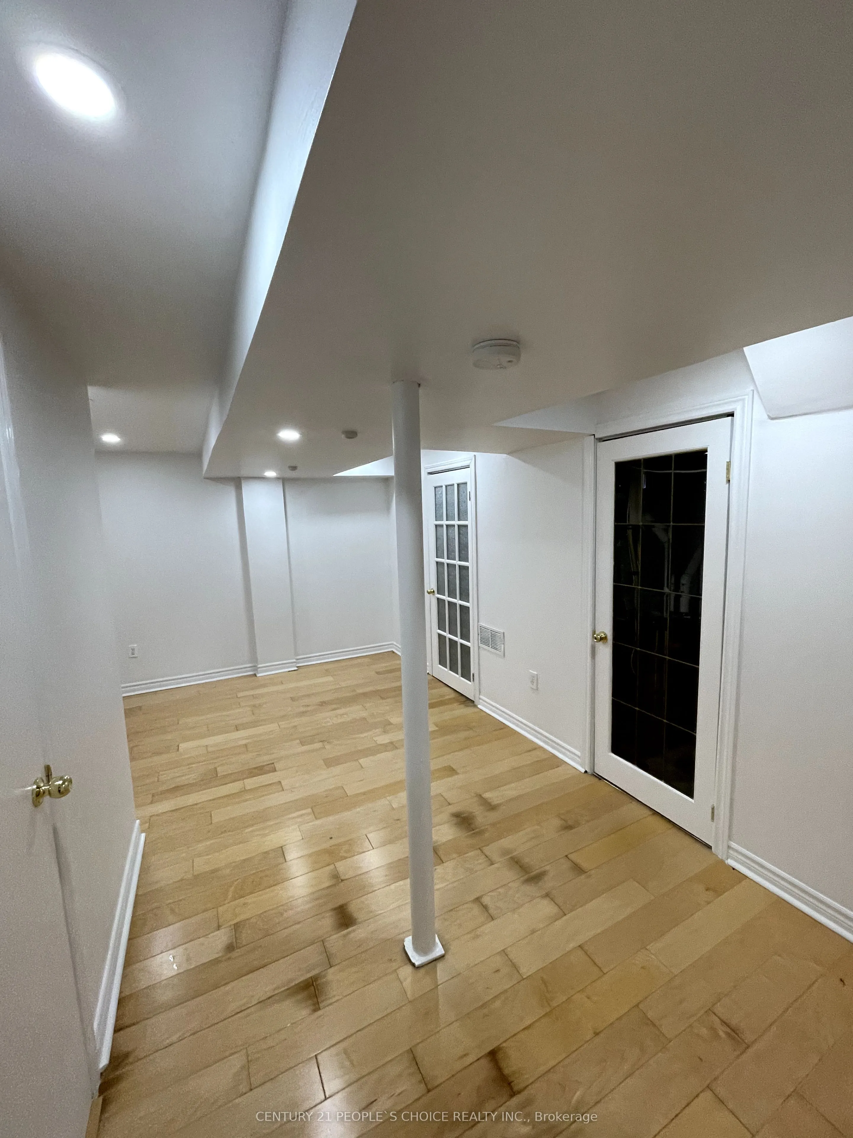 146 Delaney Drive