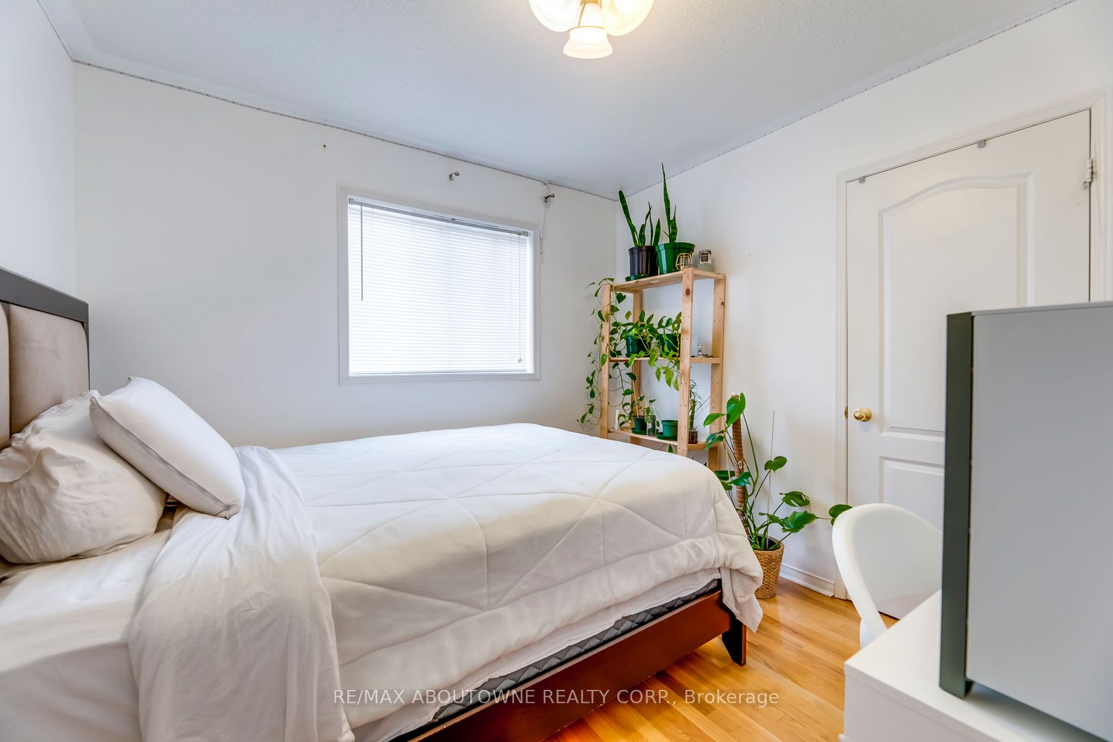 50 Casabel Drive