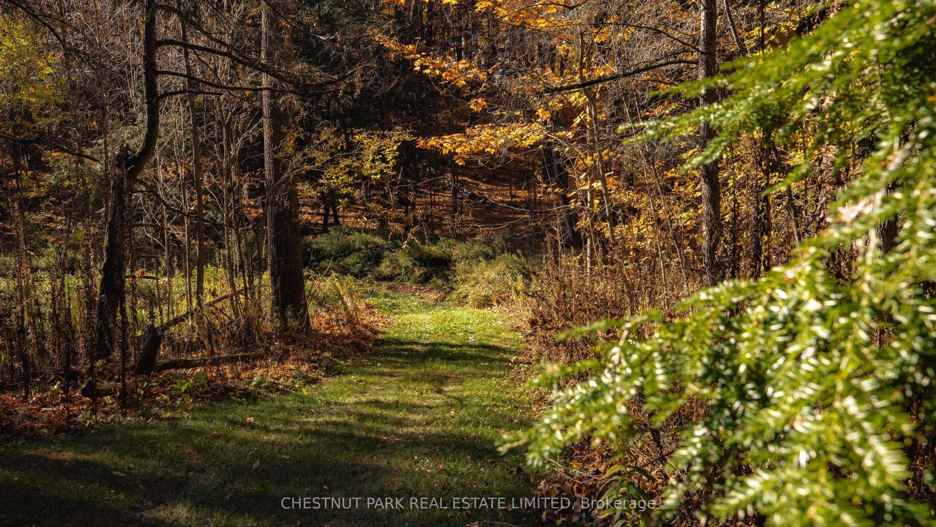 13570 7th Concession Road