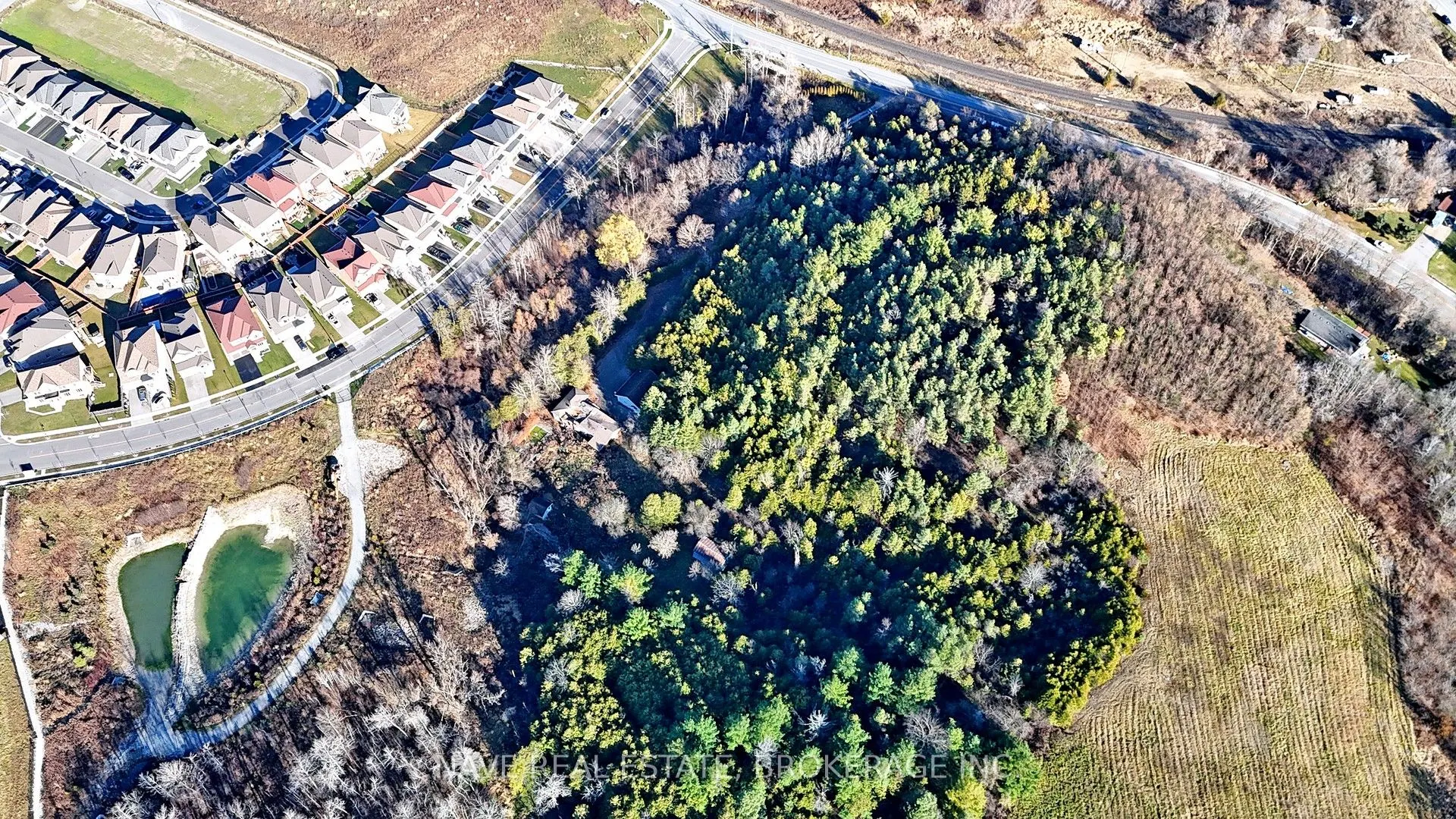 19090 Holland Landing Road