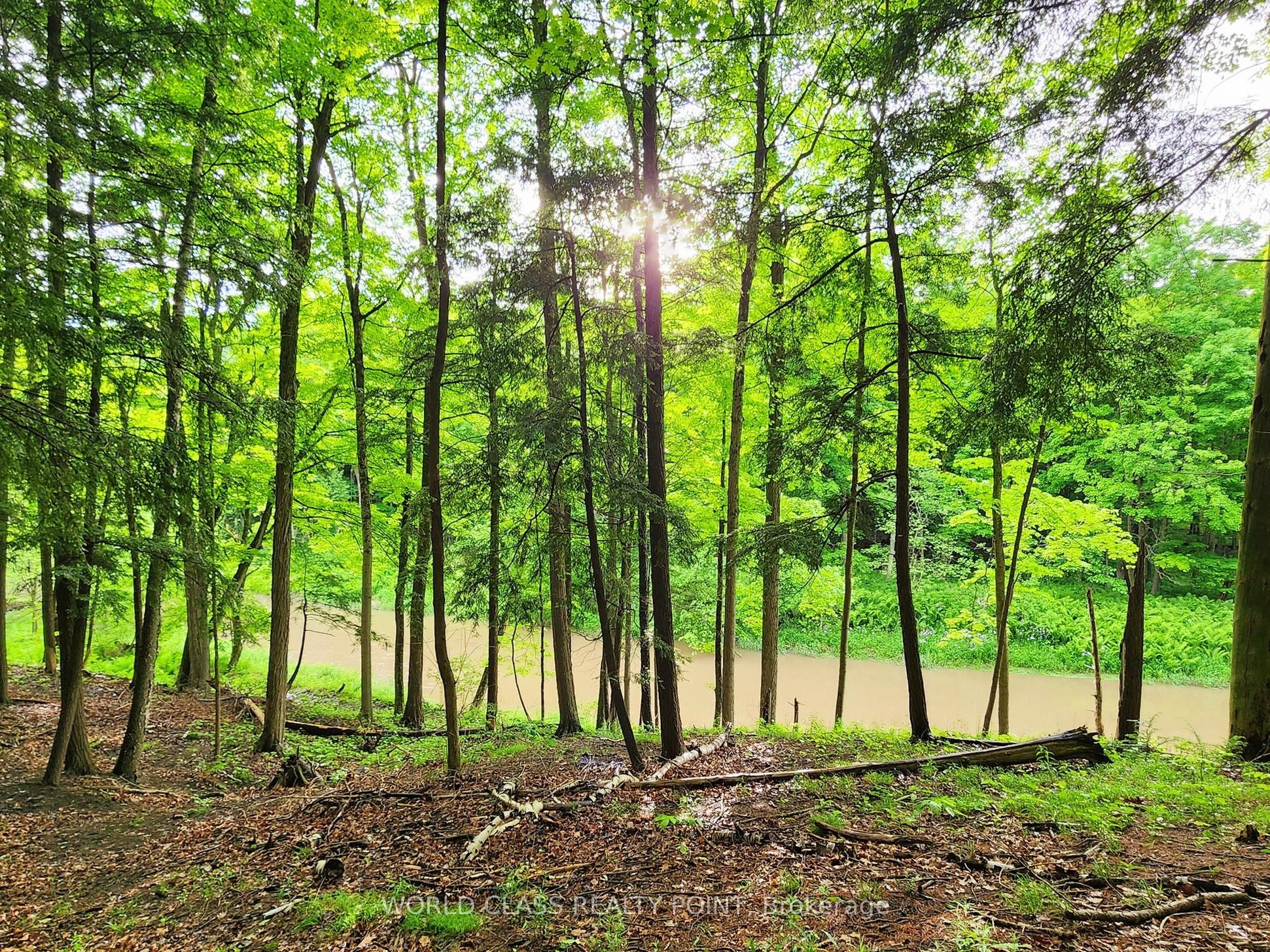 60 Kleins Ridge
