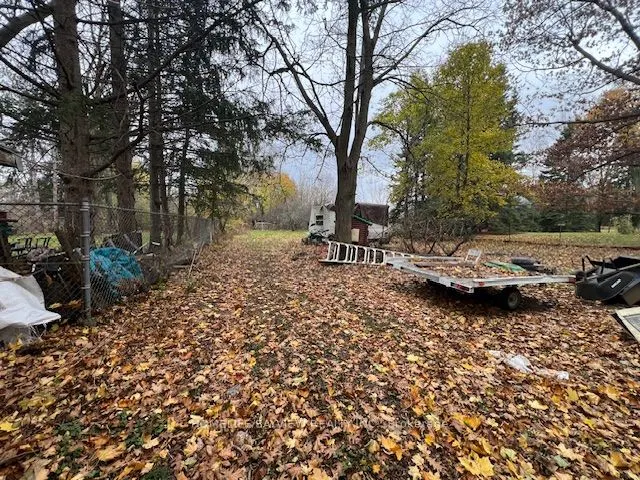 6465 King Road