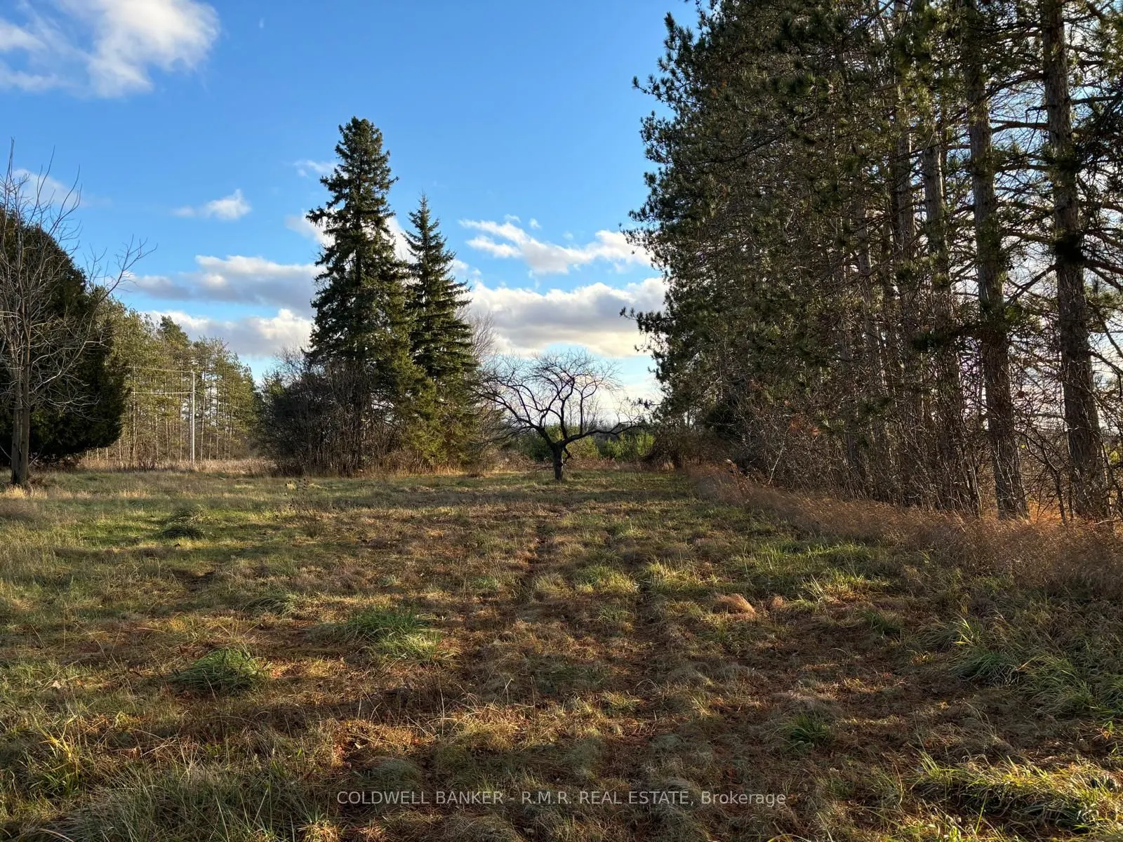 B1995 Concession 7 Road E
