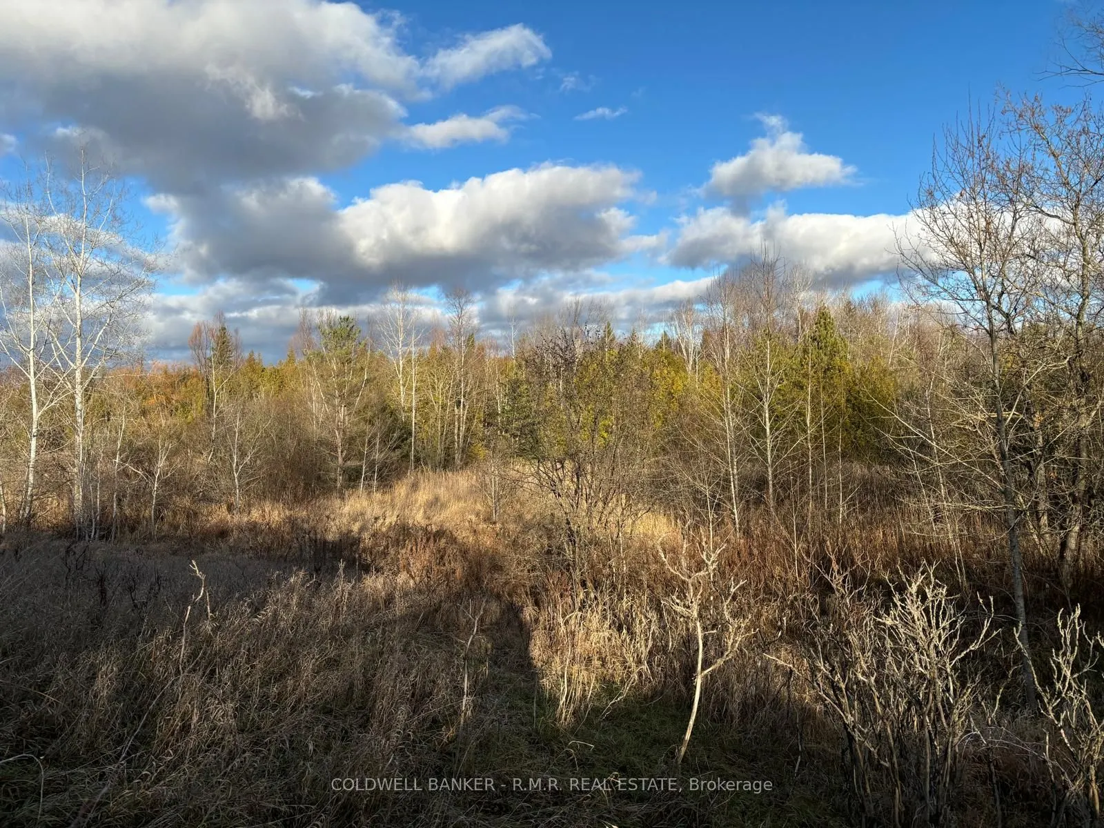 B1995 Concession 7 Road E